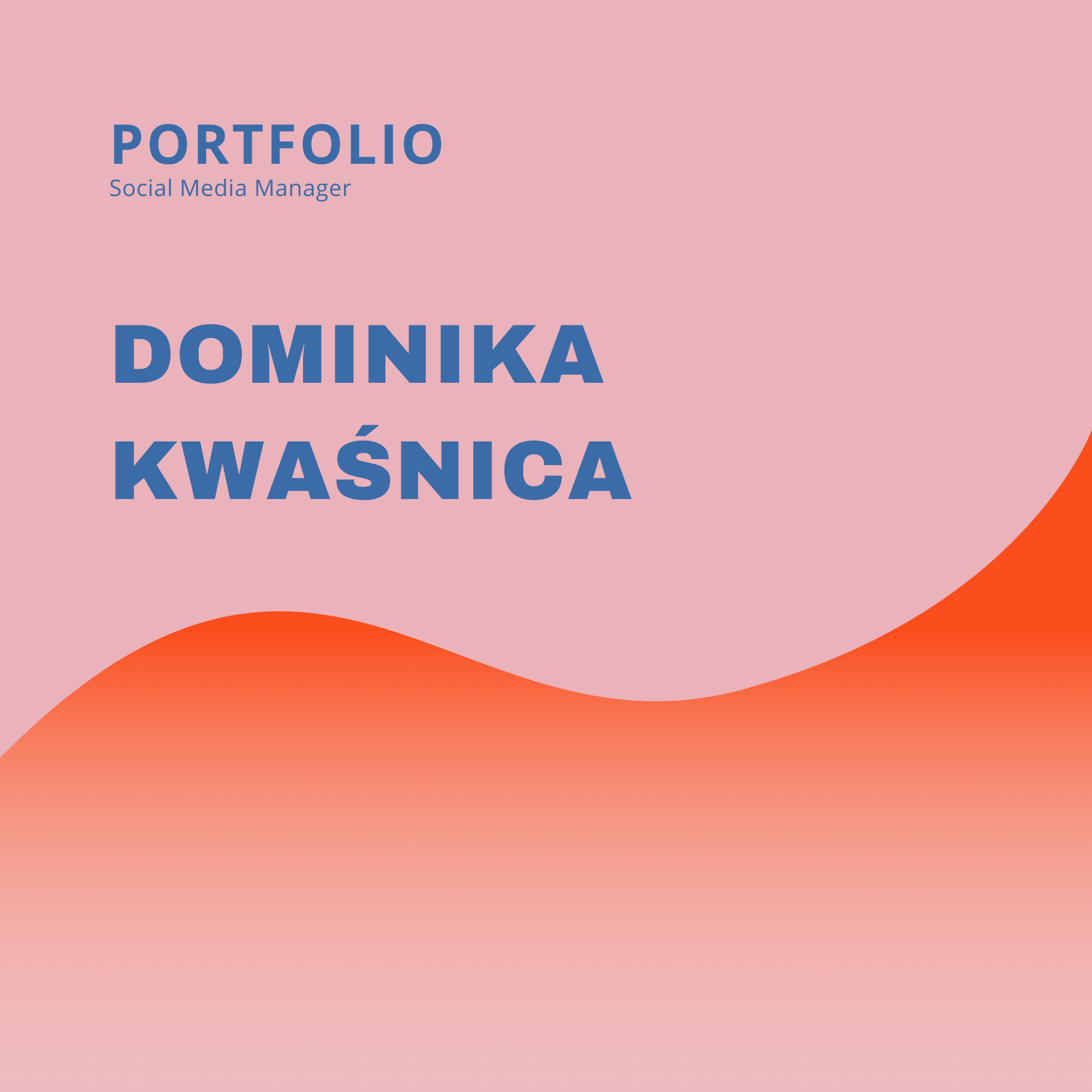 Portfolio item