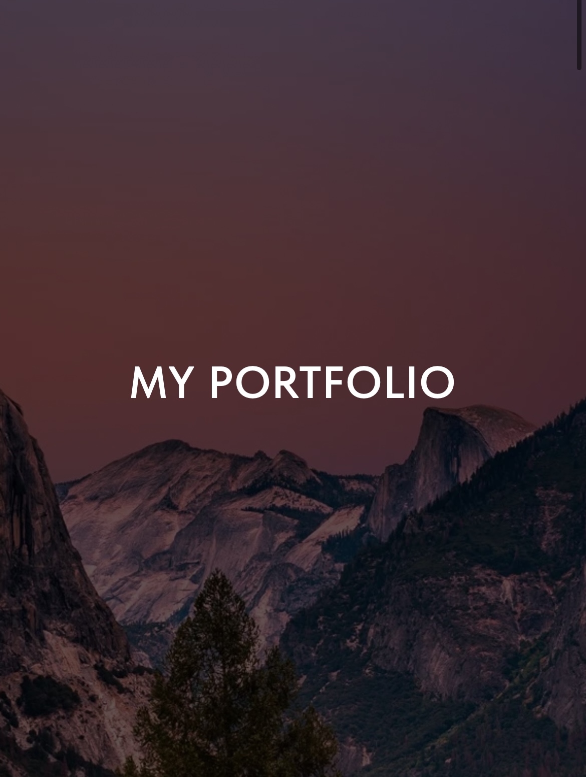 Portfolio item