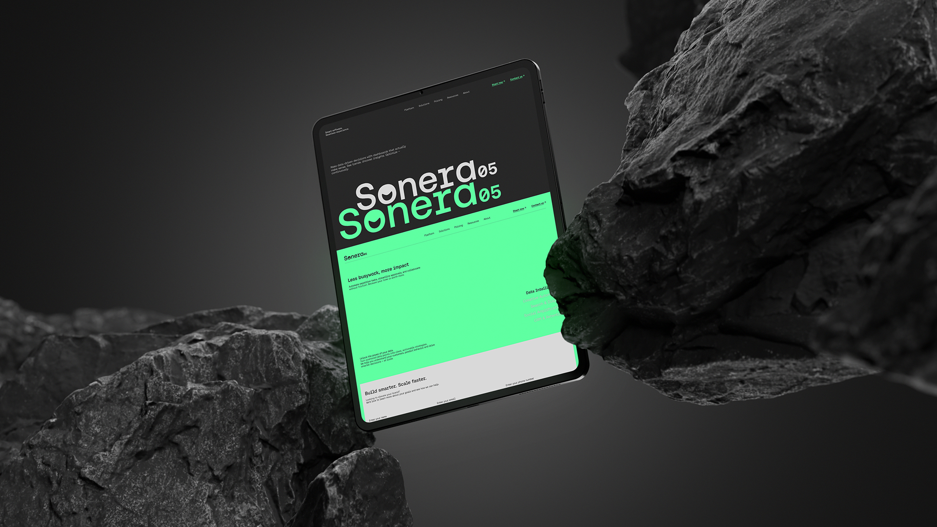 Portfolio item