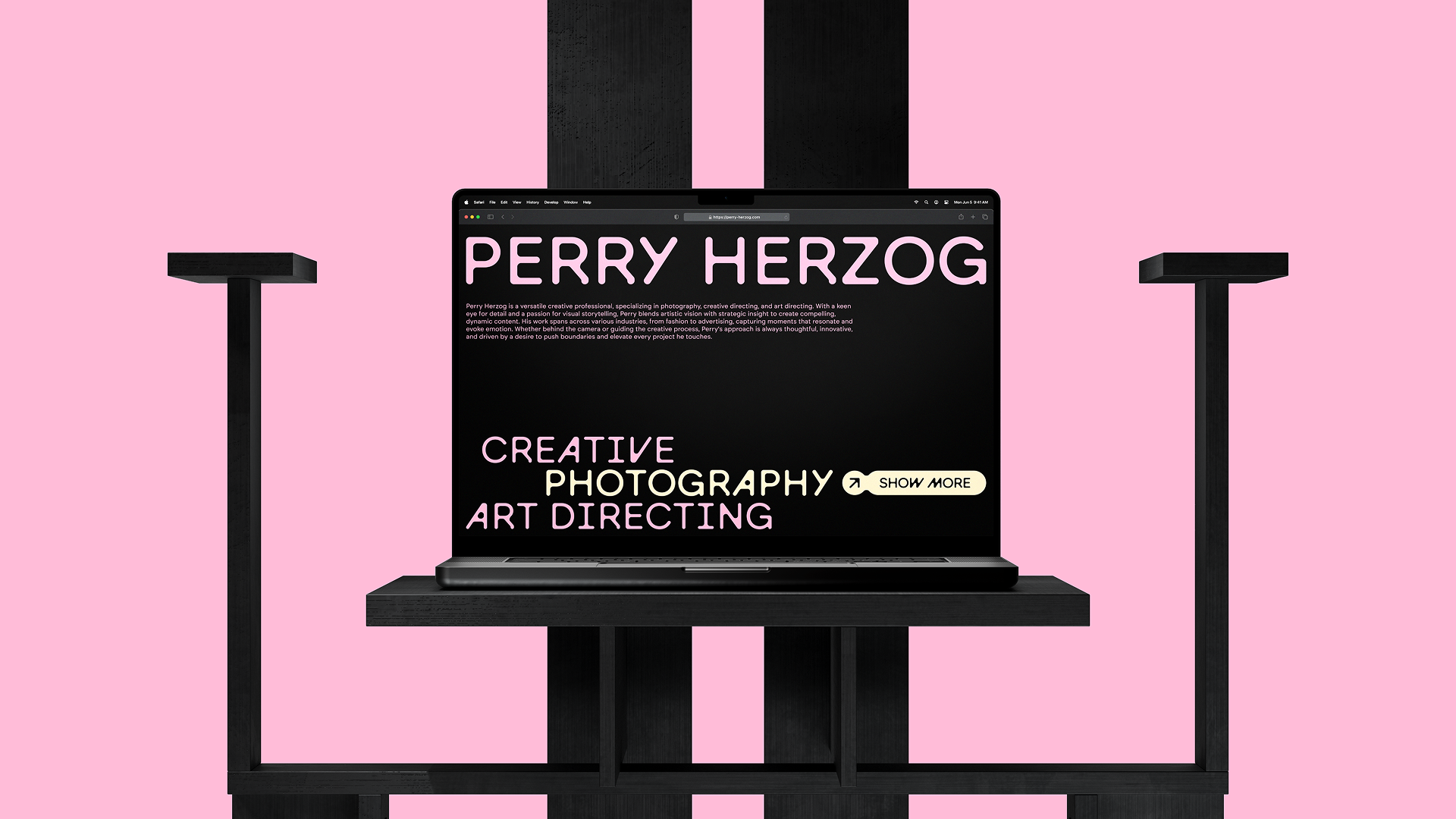 Portfolio item