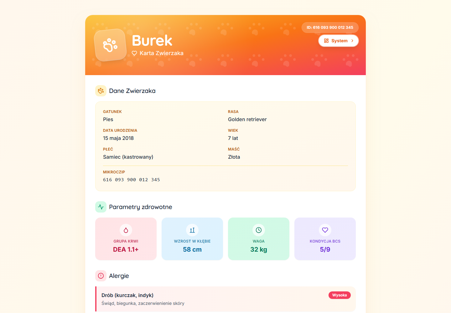 Portfolio item