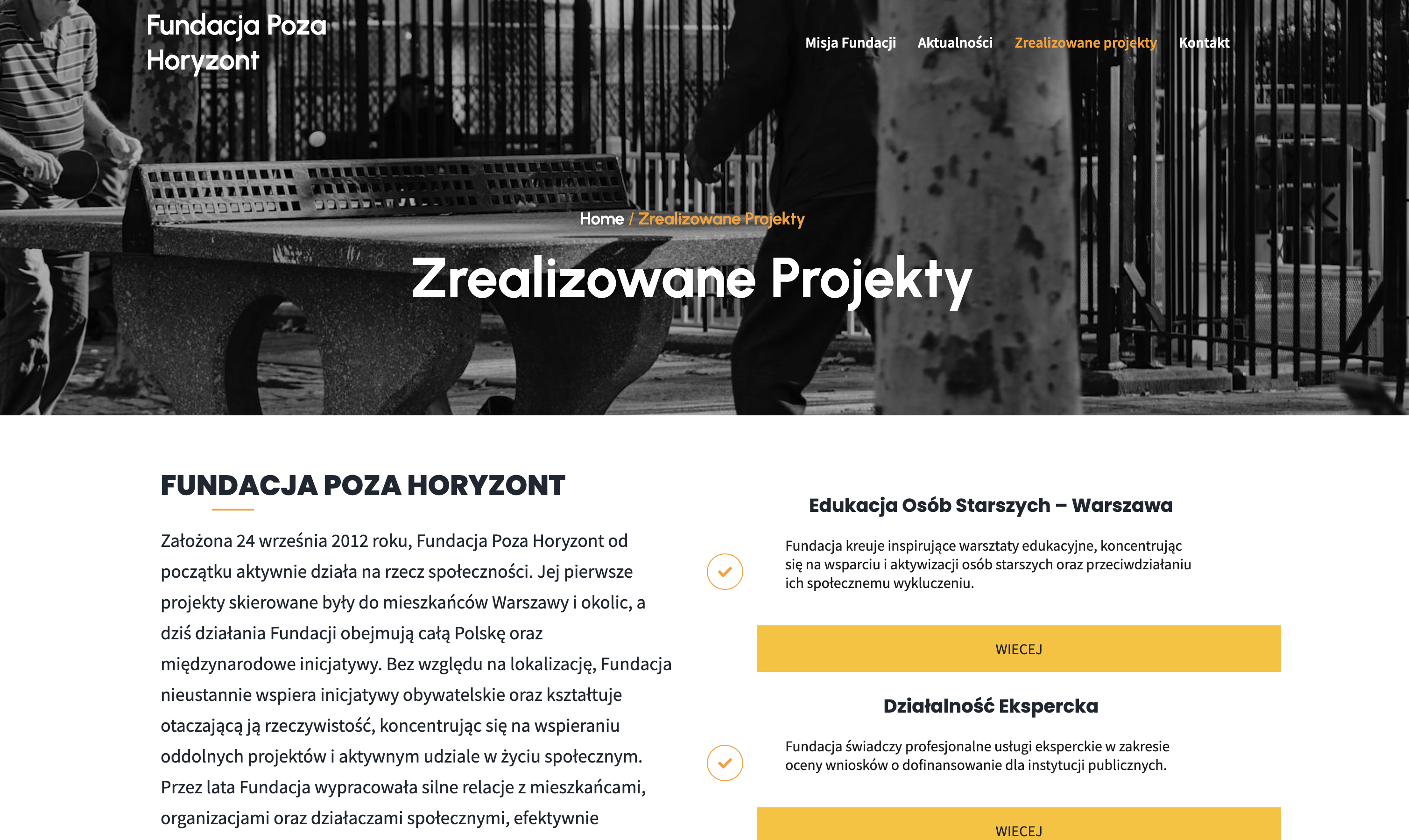 Portfolio item