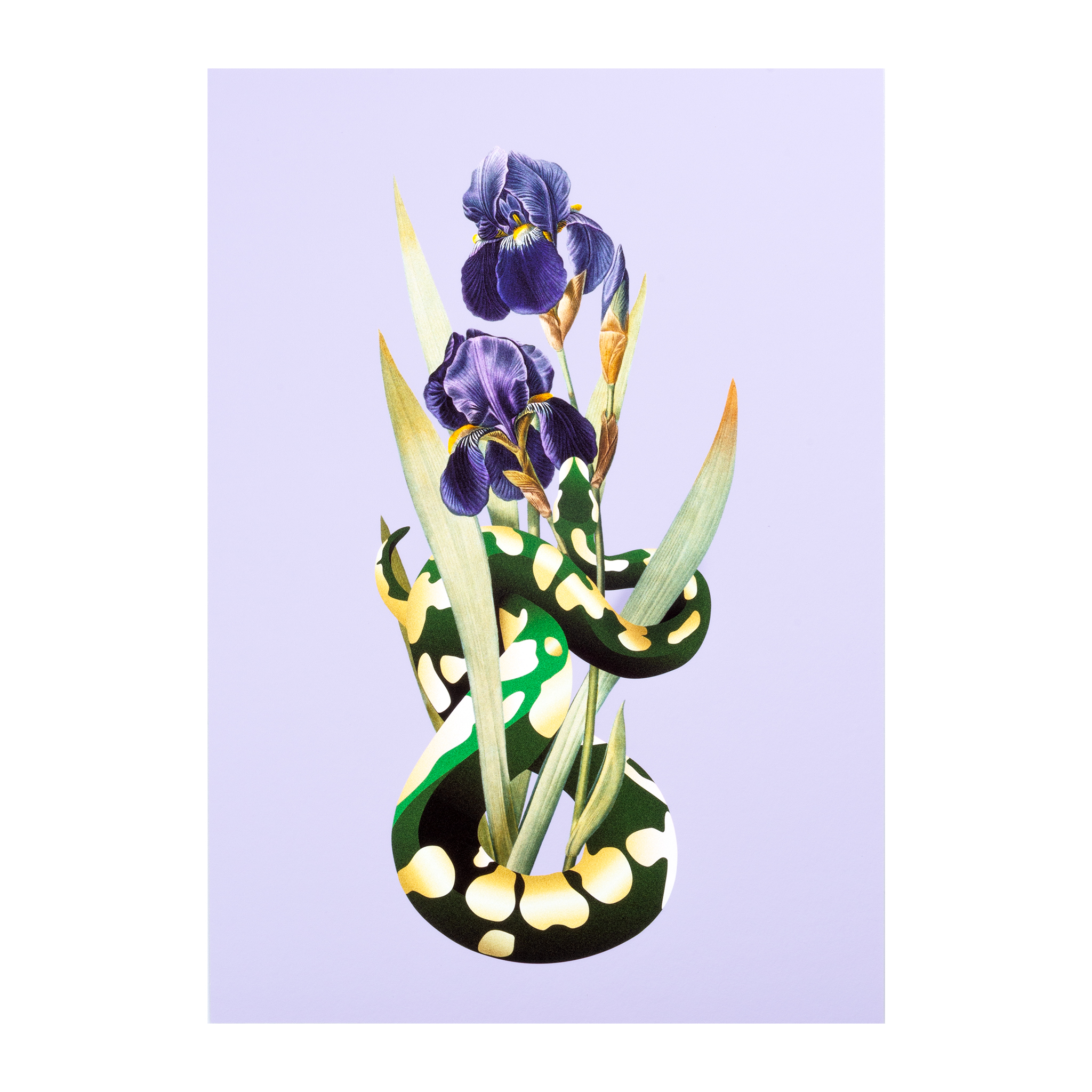 Portfolio item