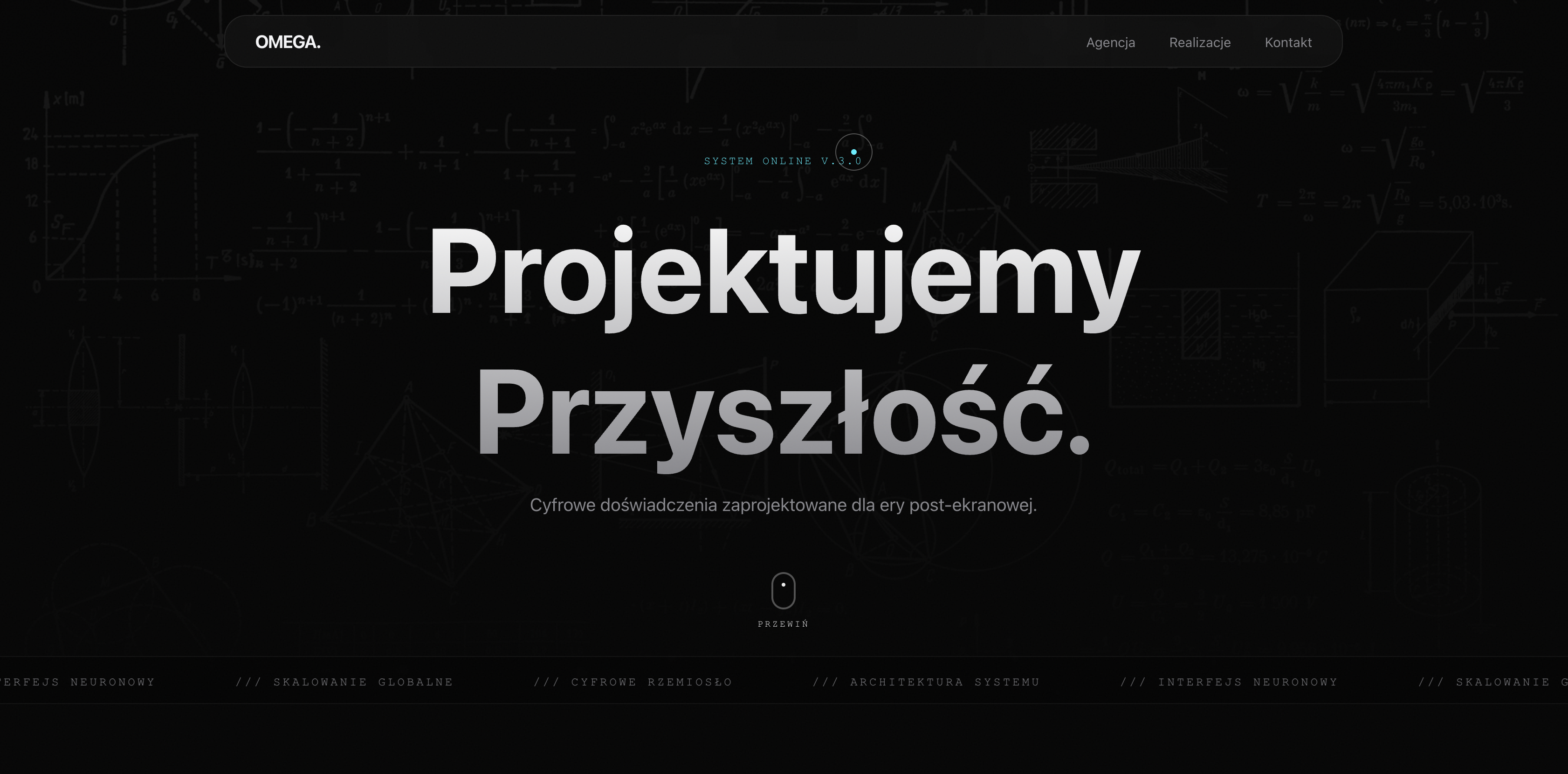 Portfolio item