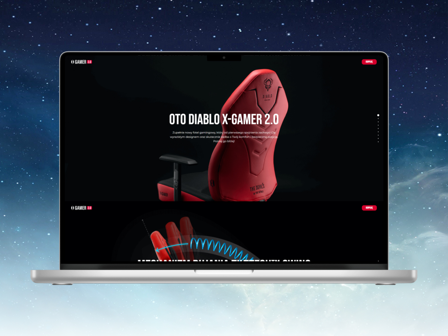 Portfolio item