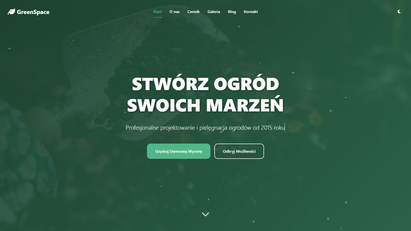 Portfolio item