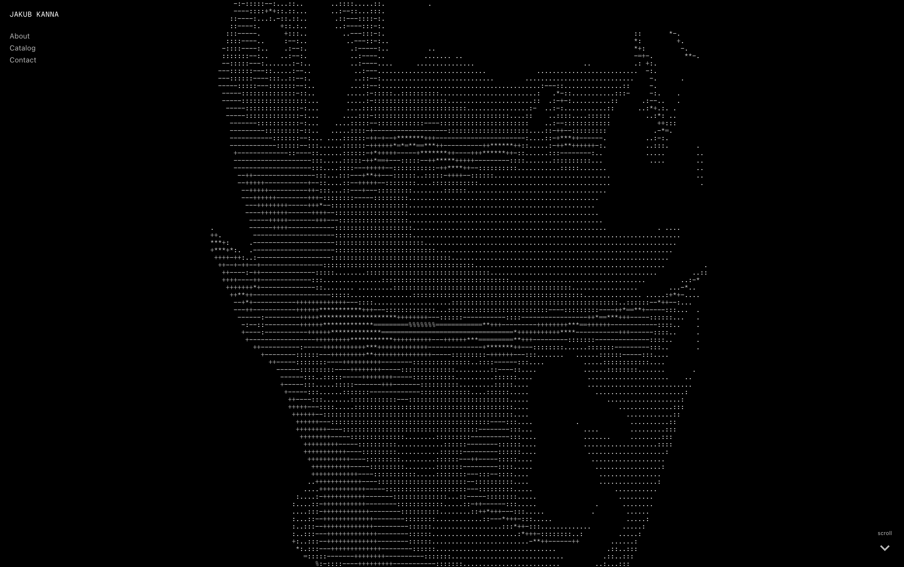 Portfolio item