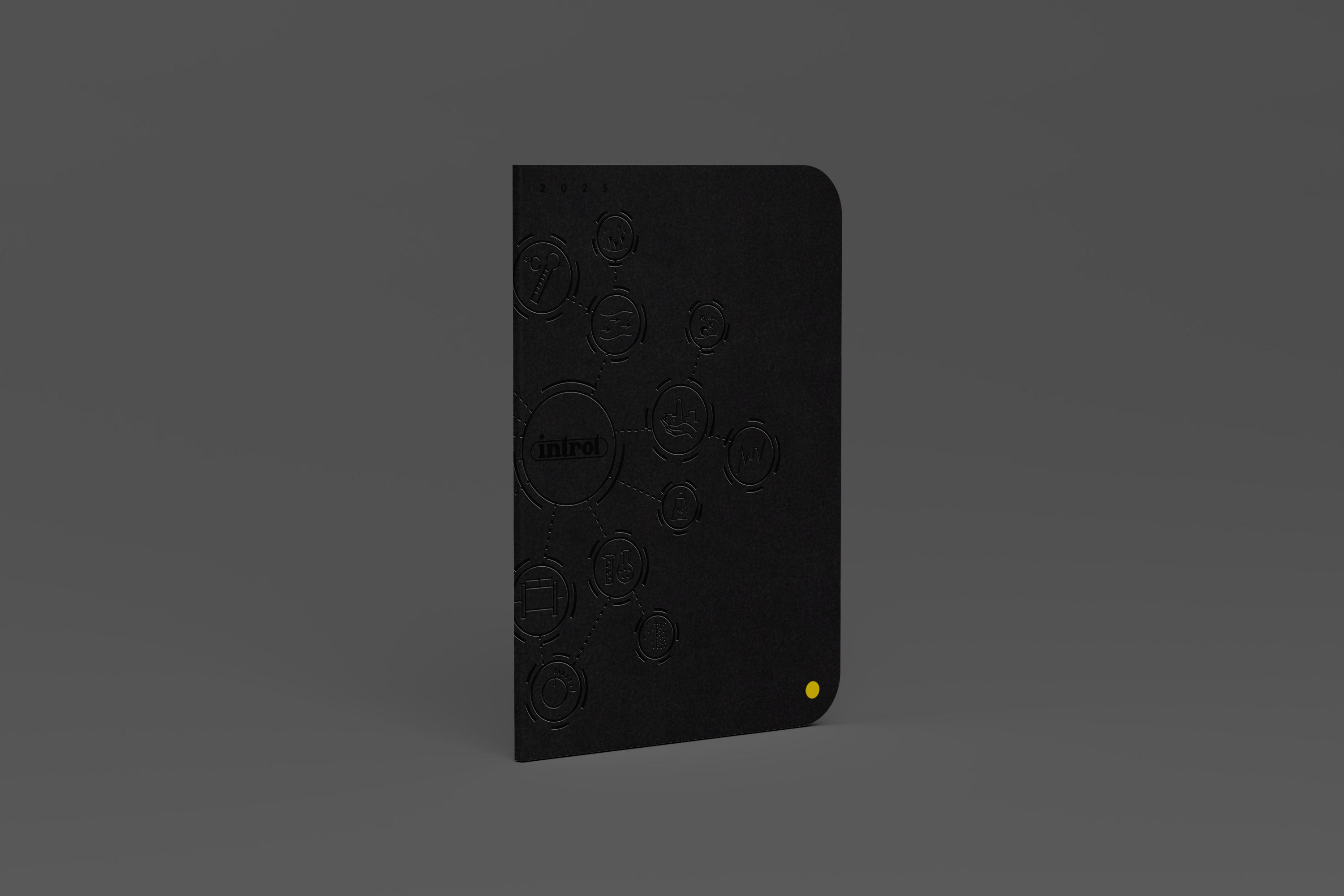 Portfolio item