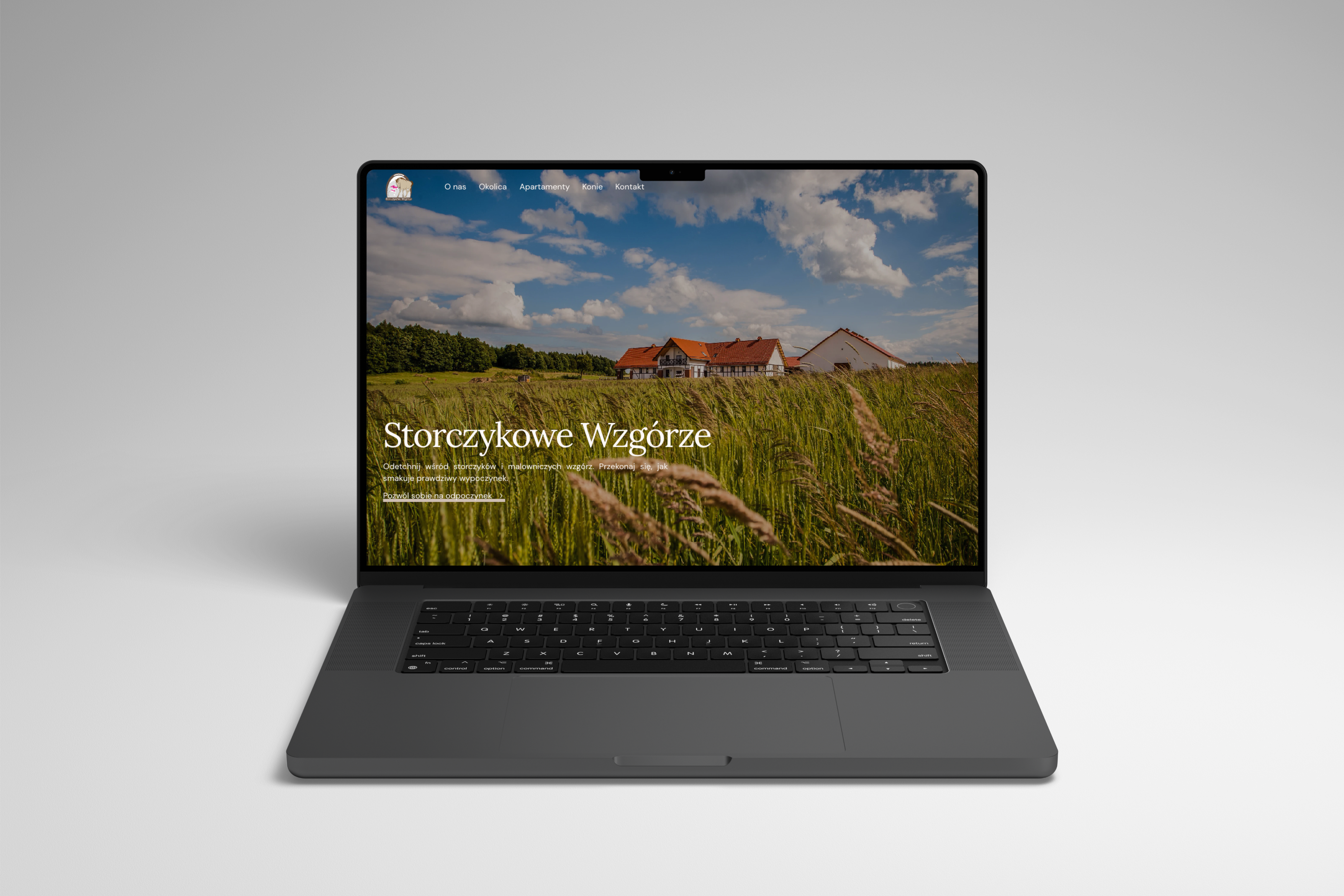 Portfolio item