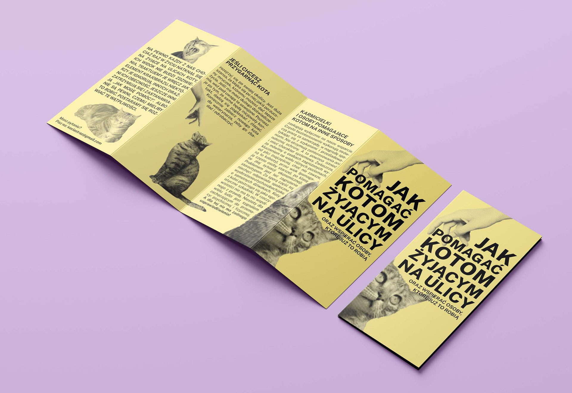 Portfolio item