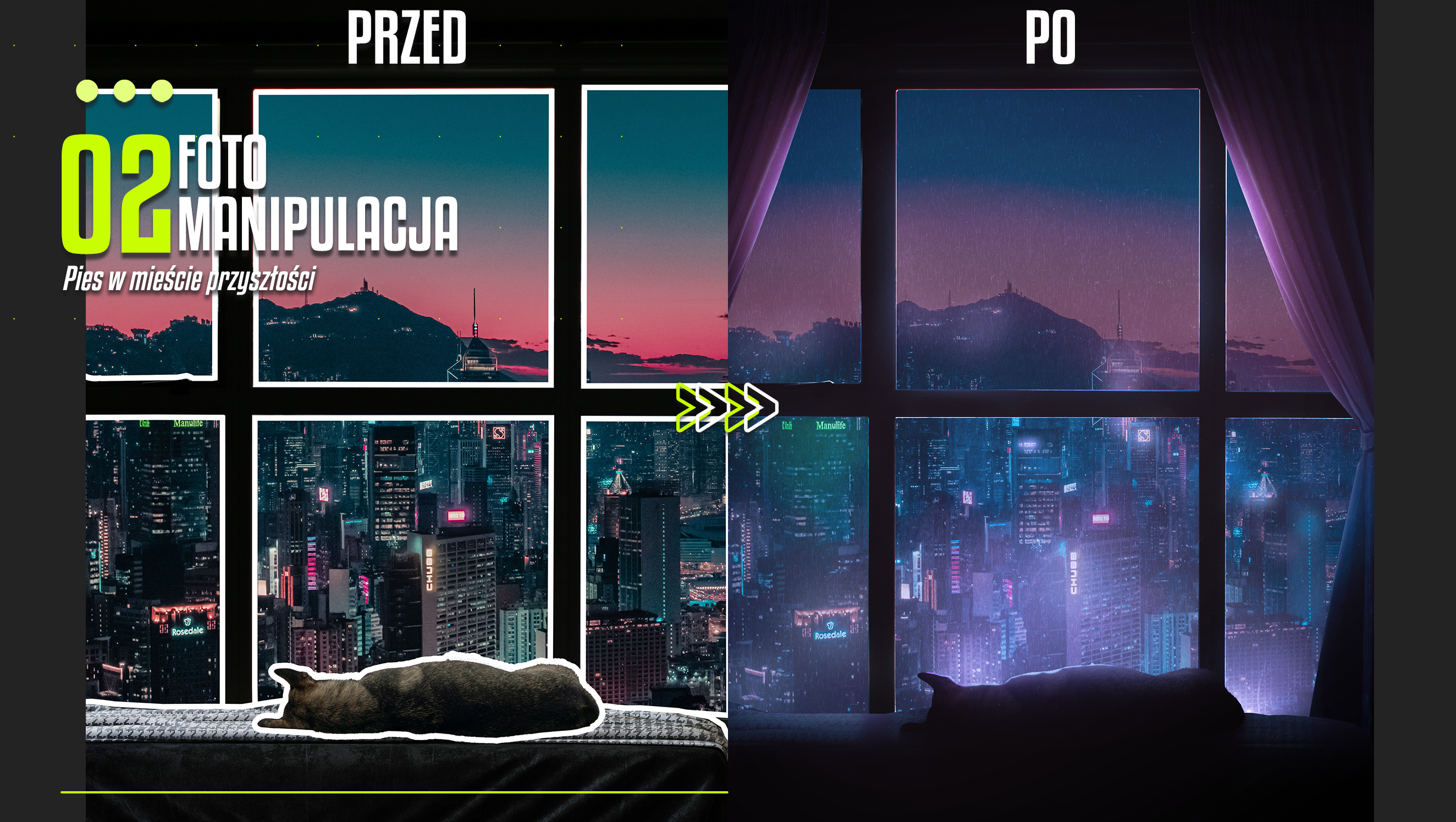 Portfolio item
