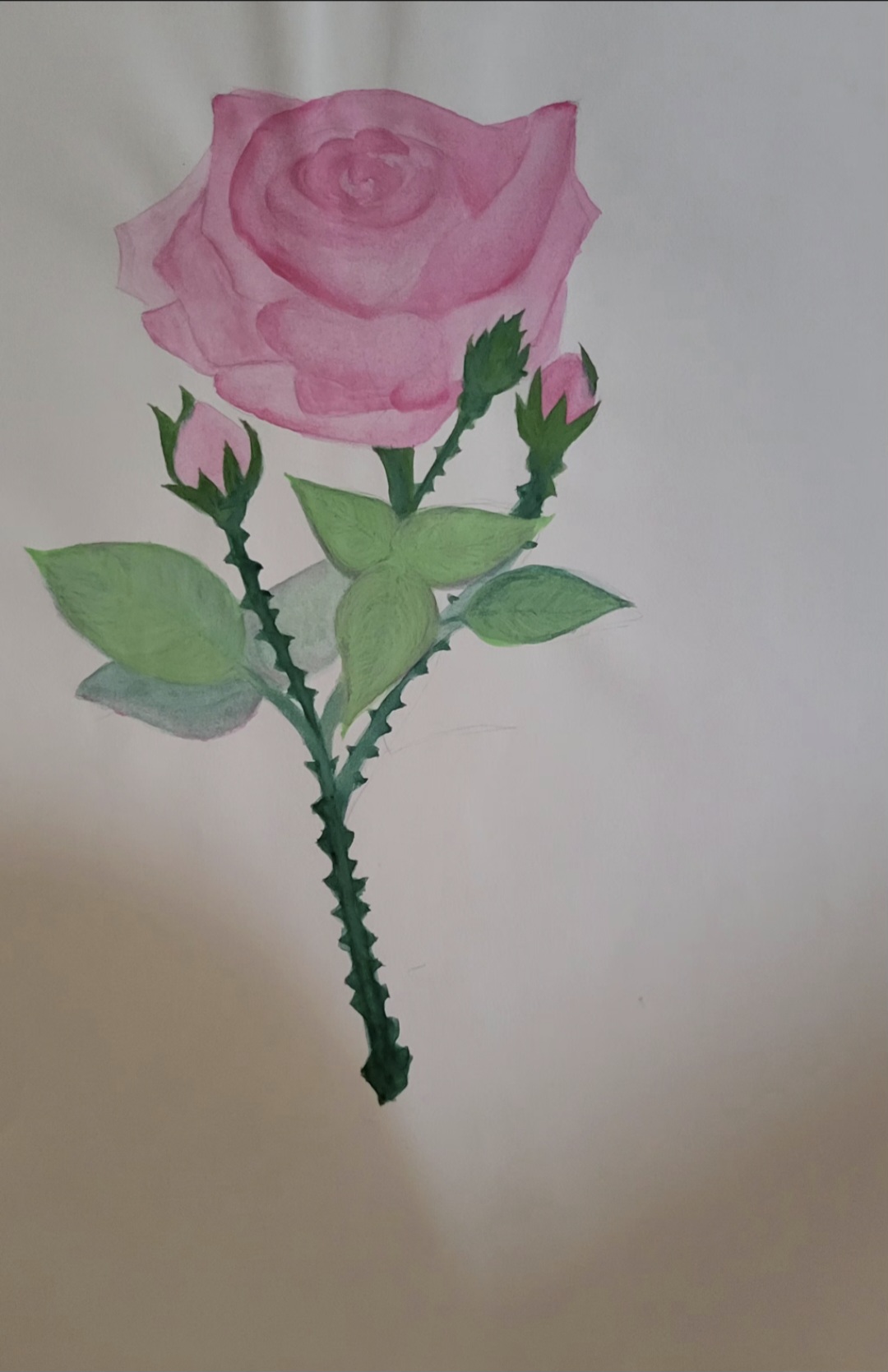Portfolio item