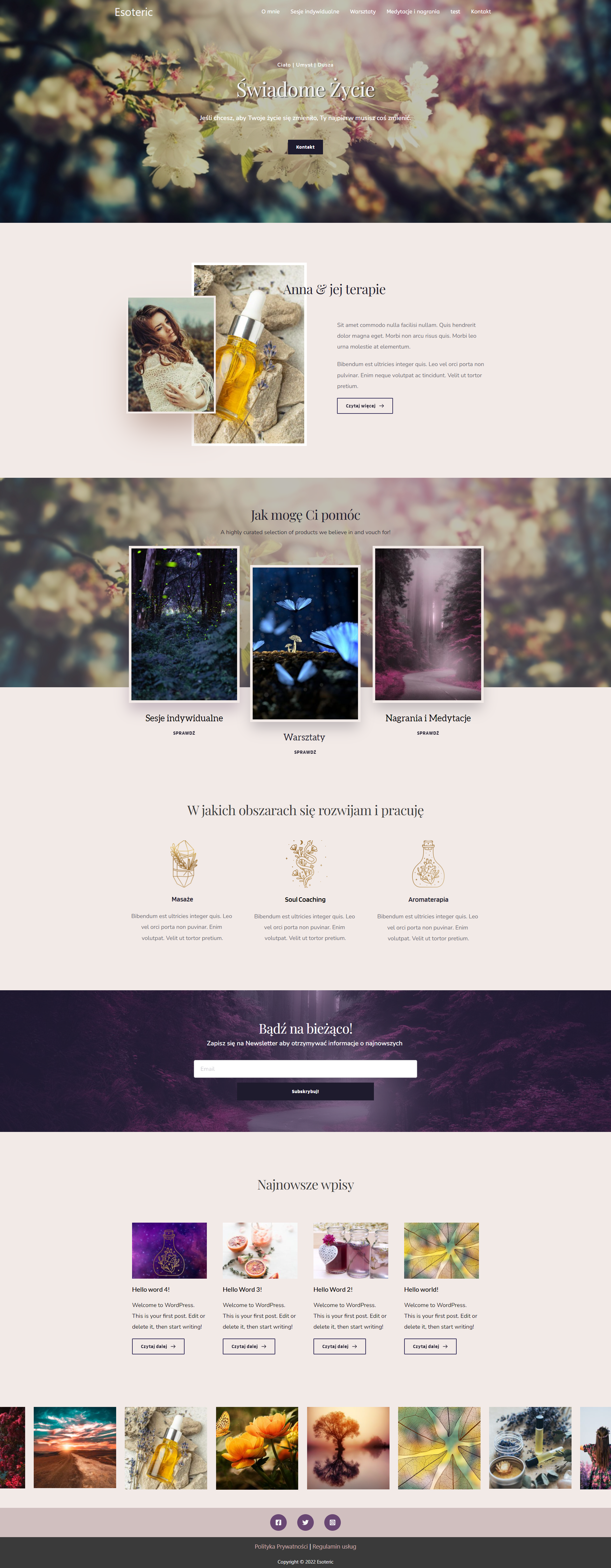 Portfolio item