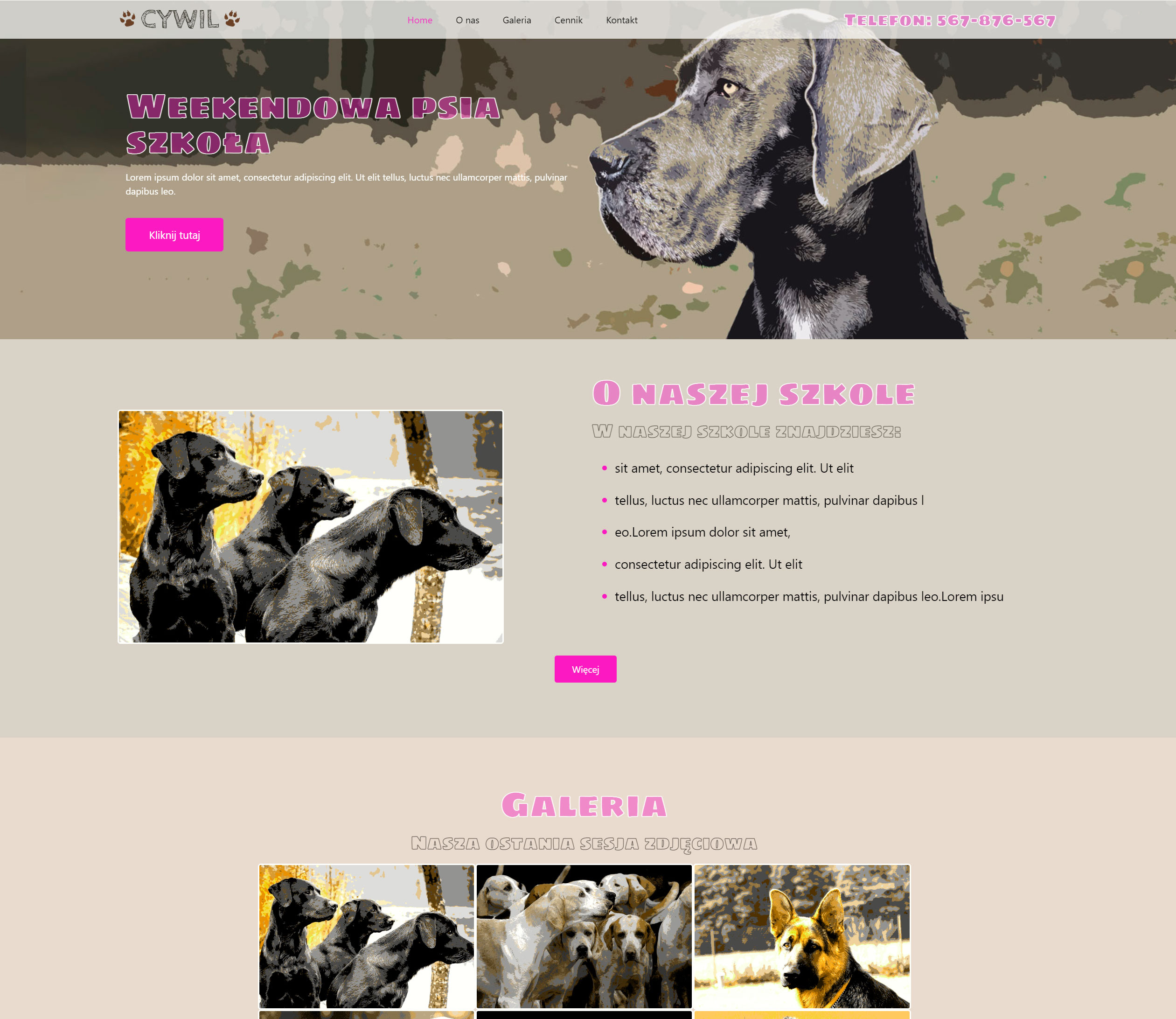 Portfolio item