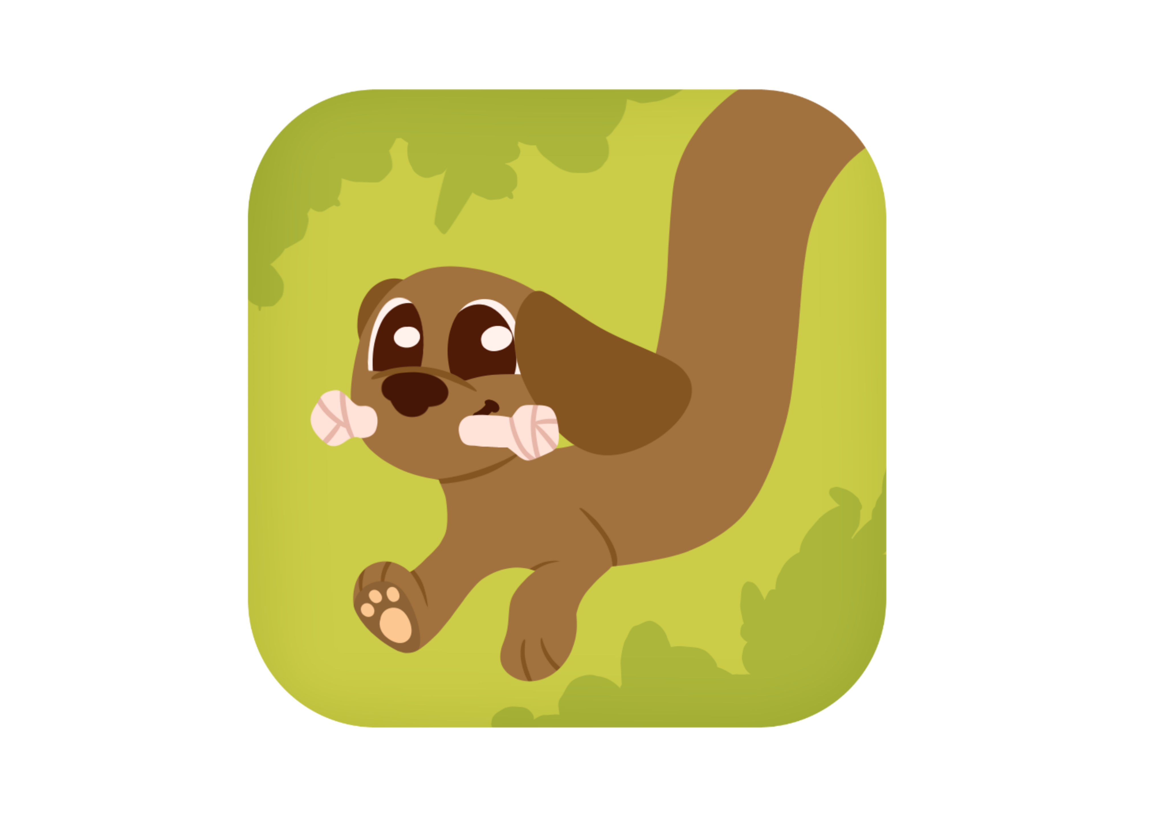 Portfolio item