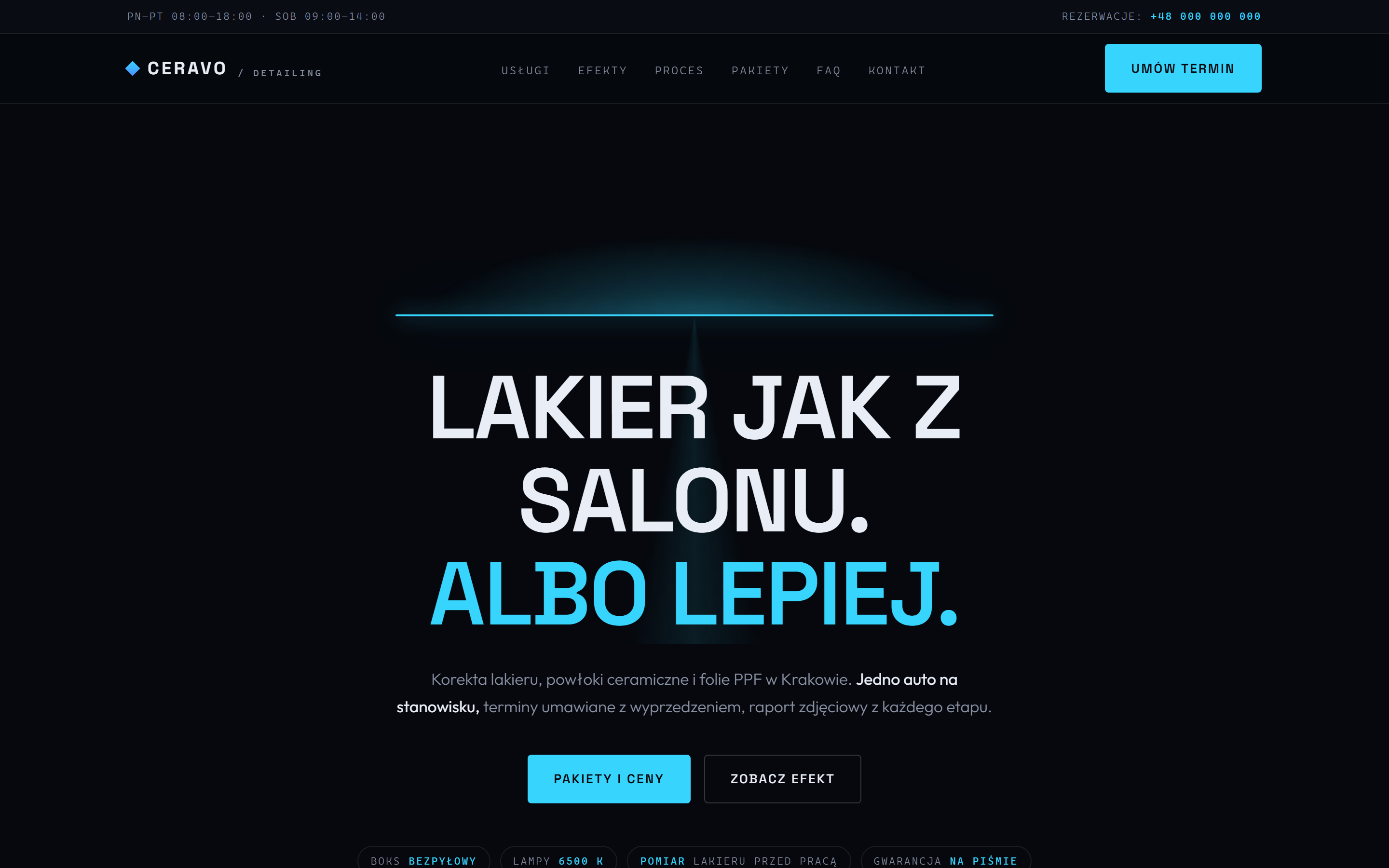Portfolio item