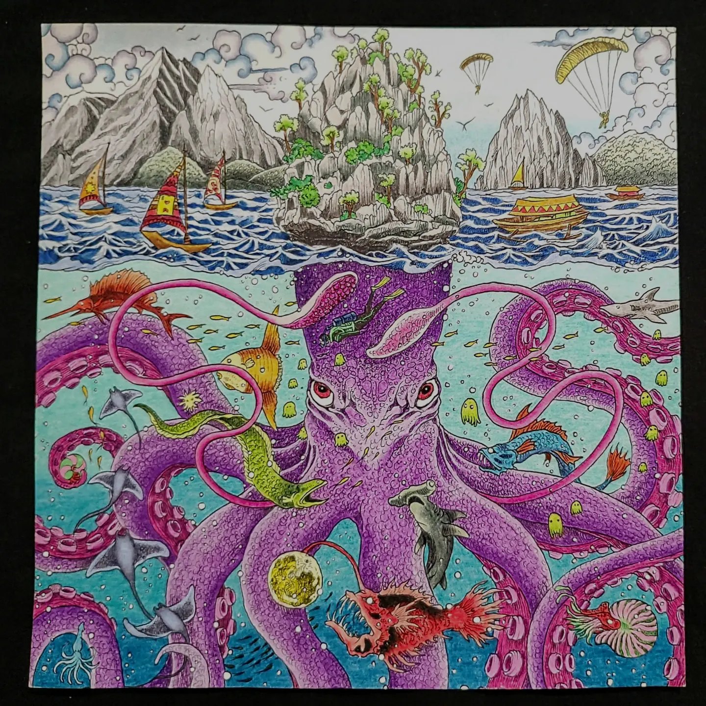 Portfolio item