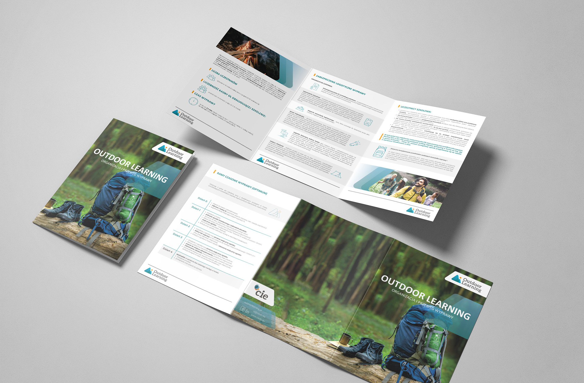 Portfolio item