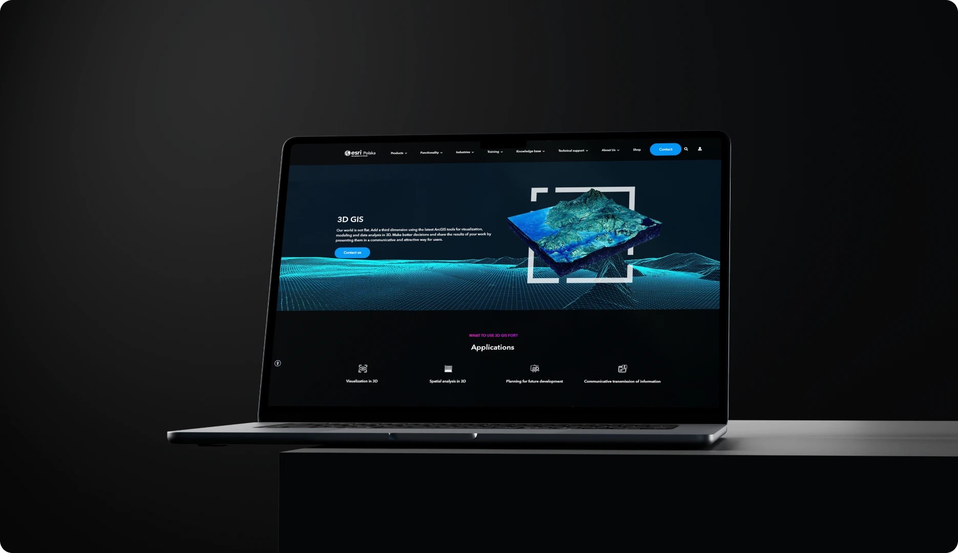 Portfolio item