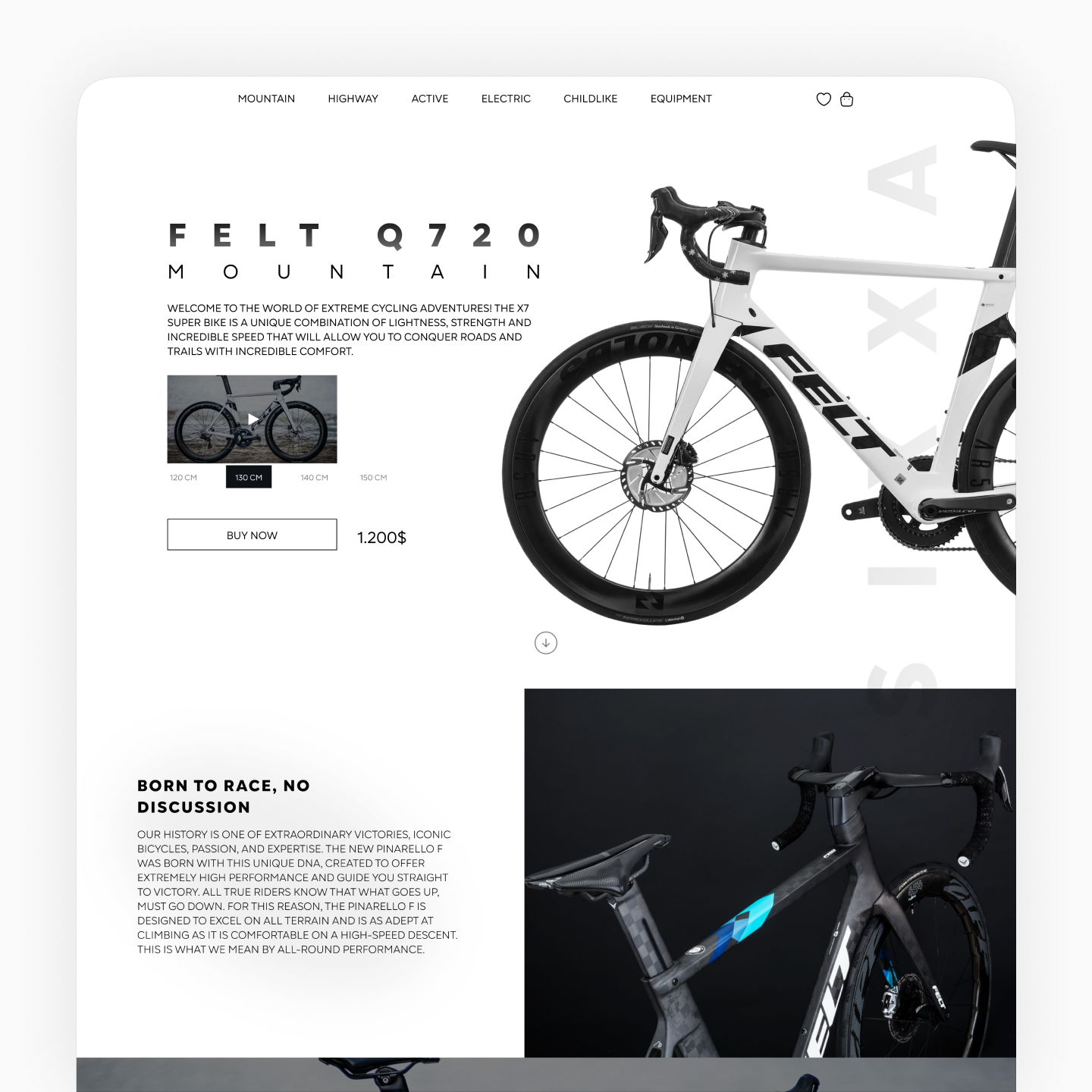 Portfolio item