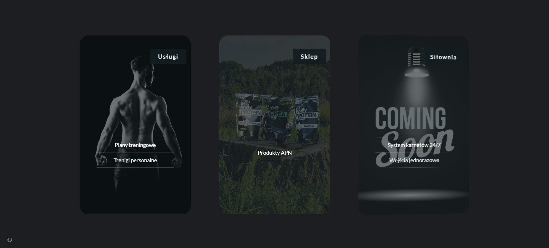 Portfolio item