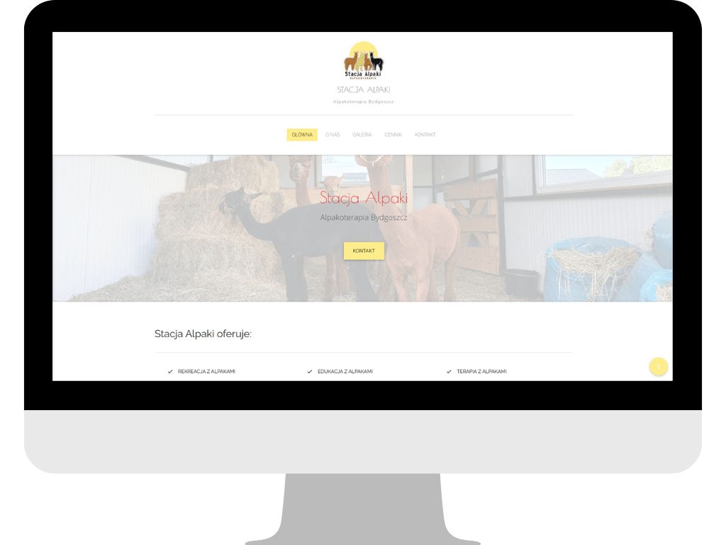 Portfolio item