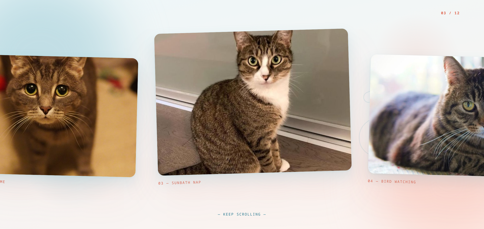 Portfolio item