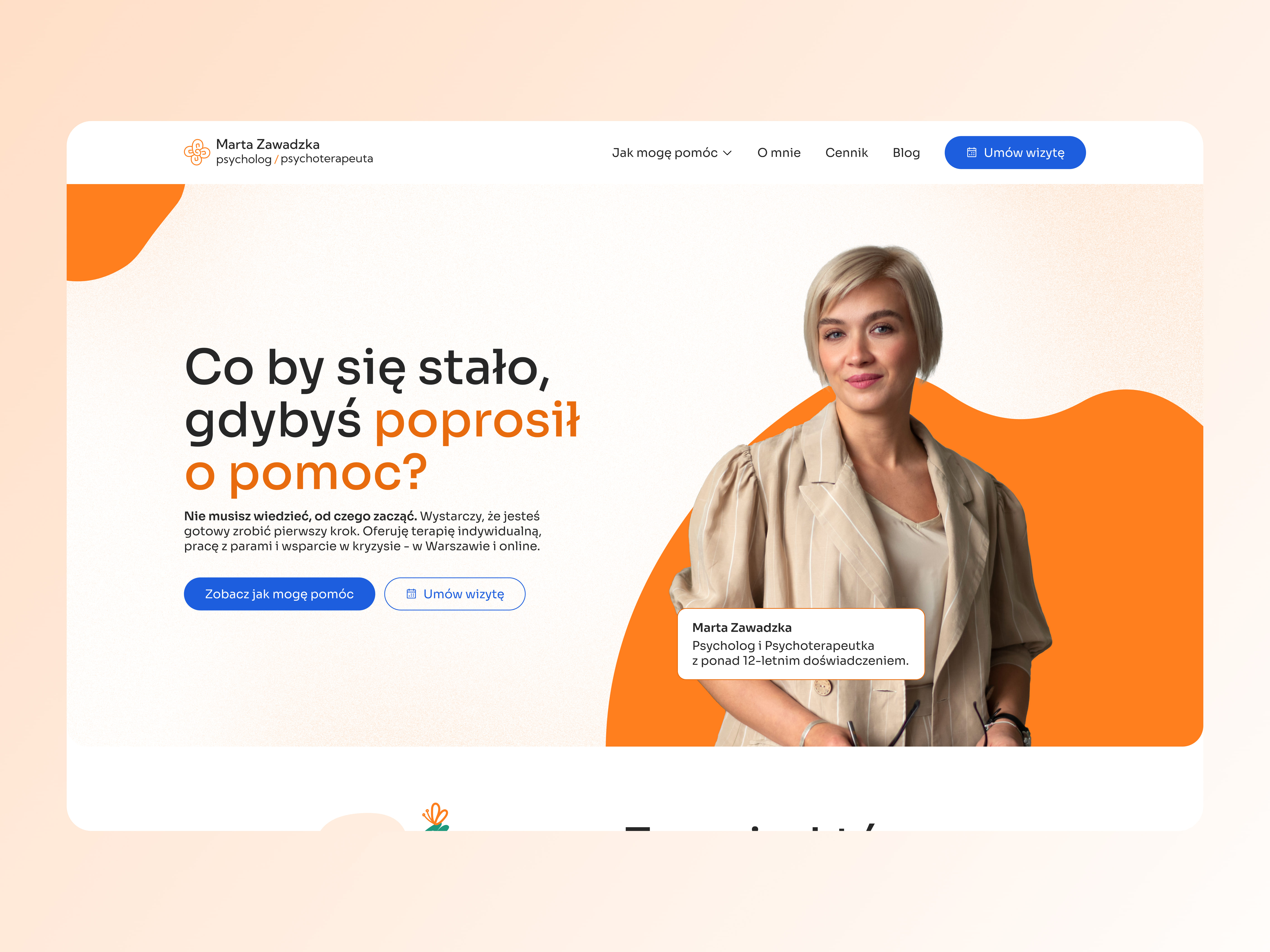 Portfolio item