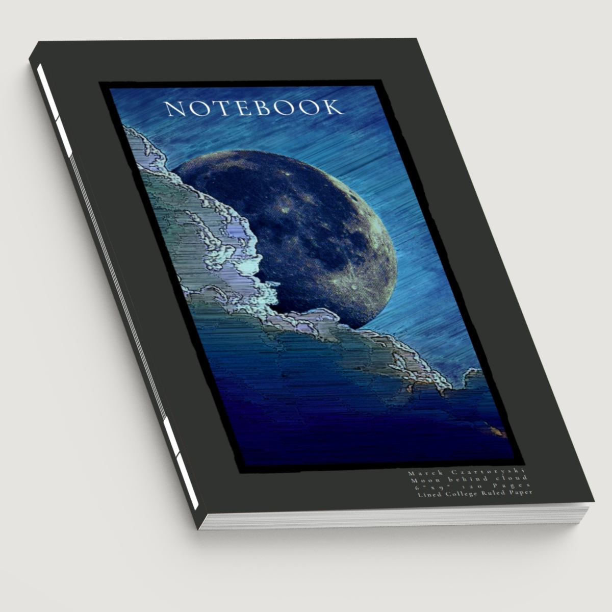 Portfolio item