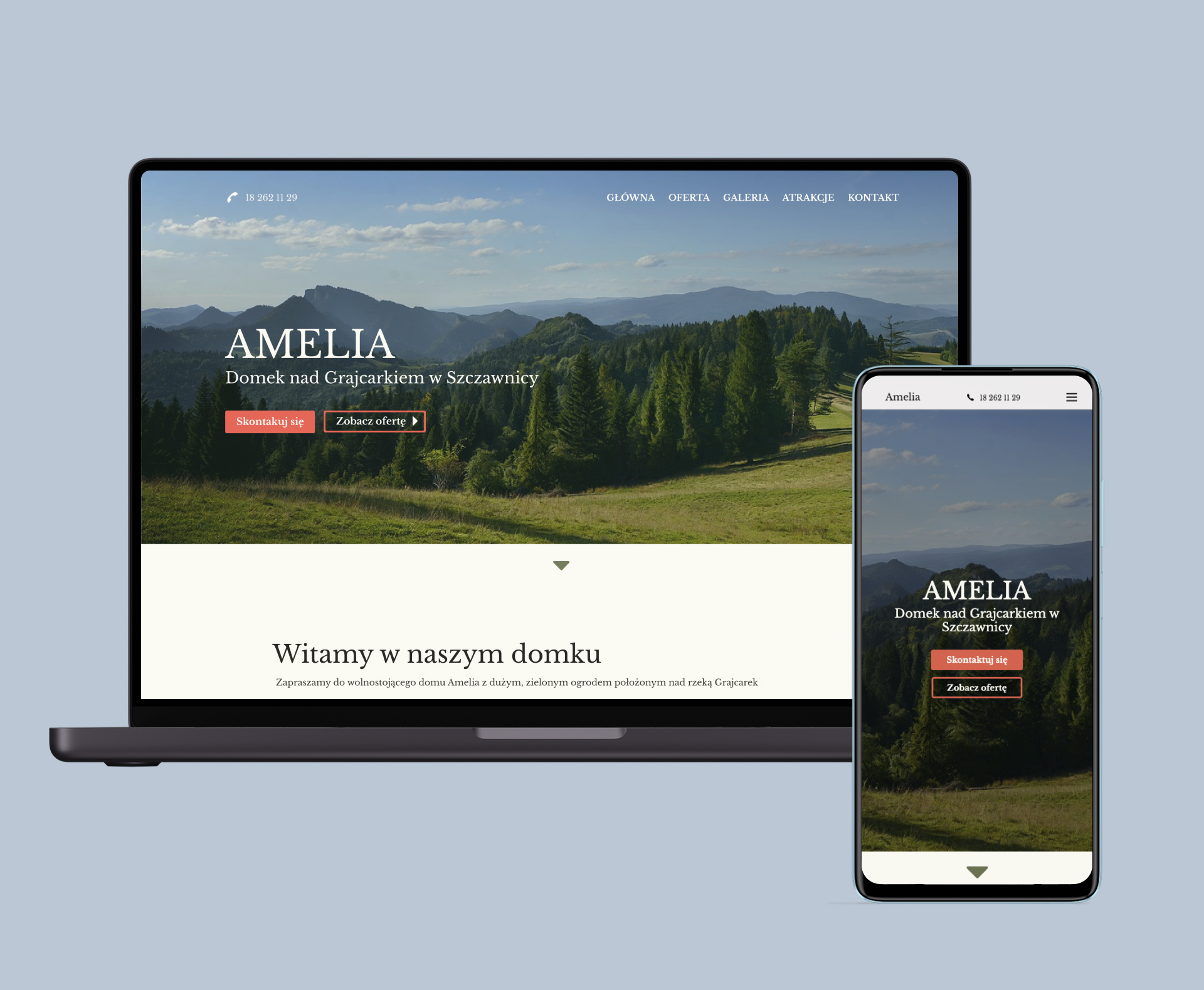 Portfolio item