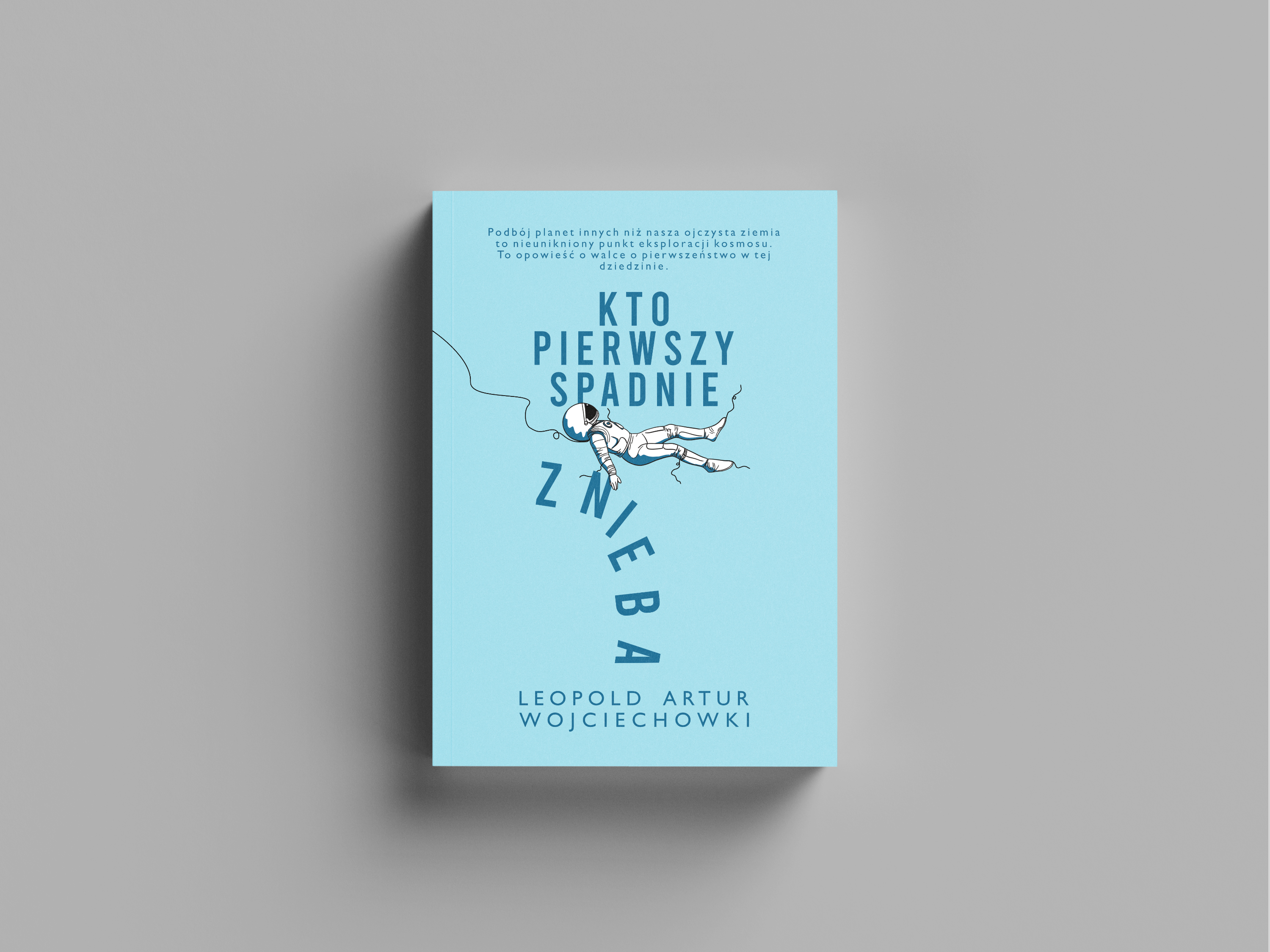 Portfolio item