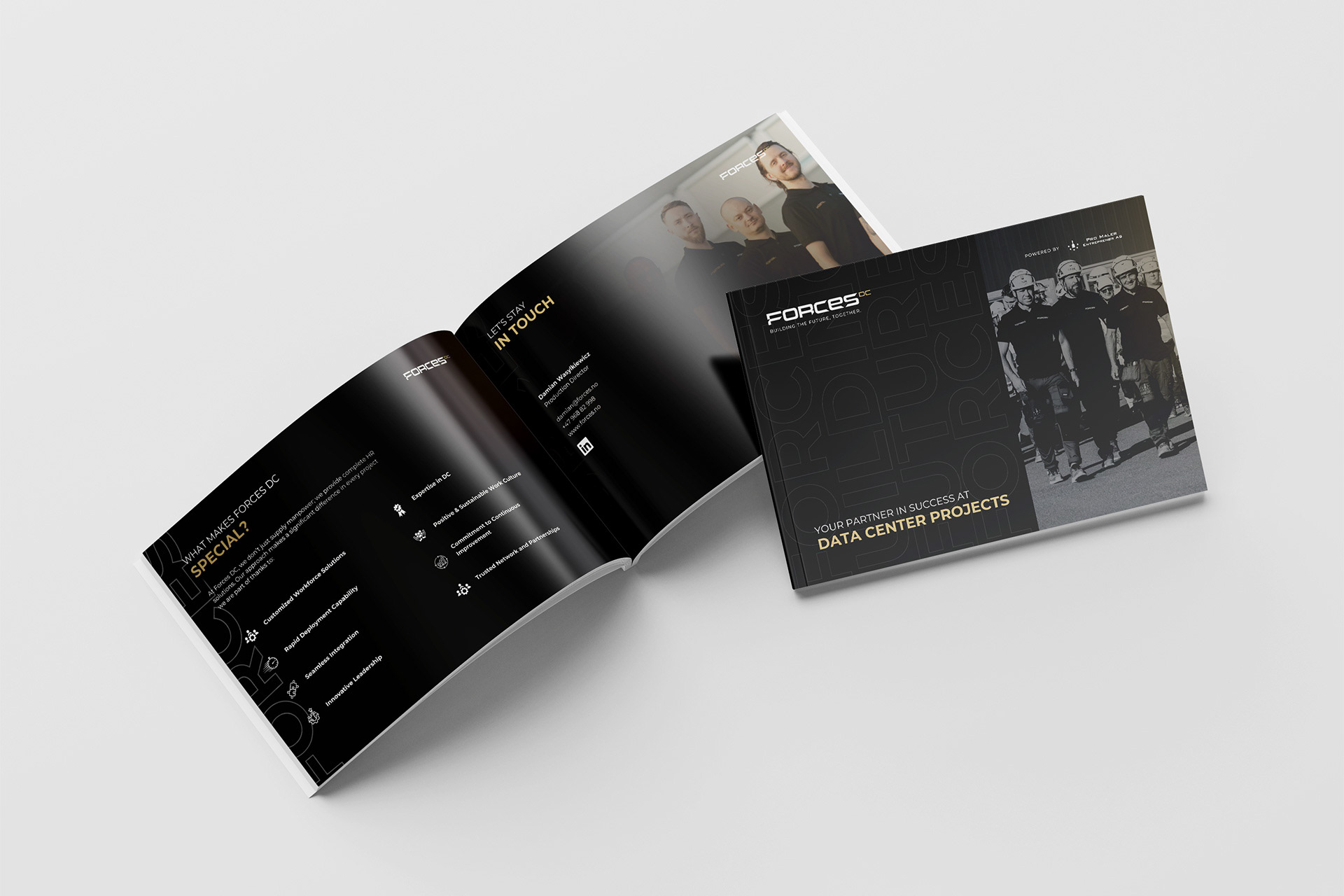 Portfolio item