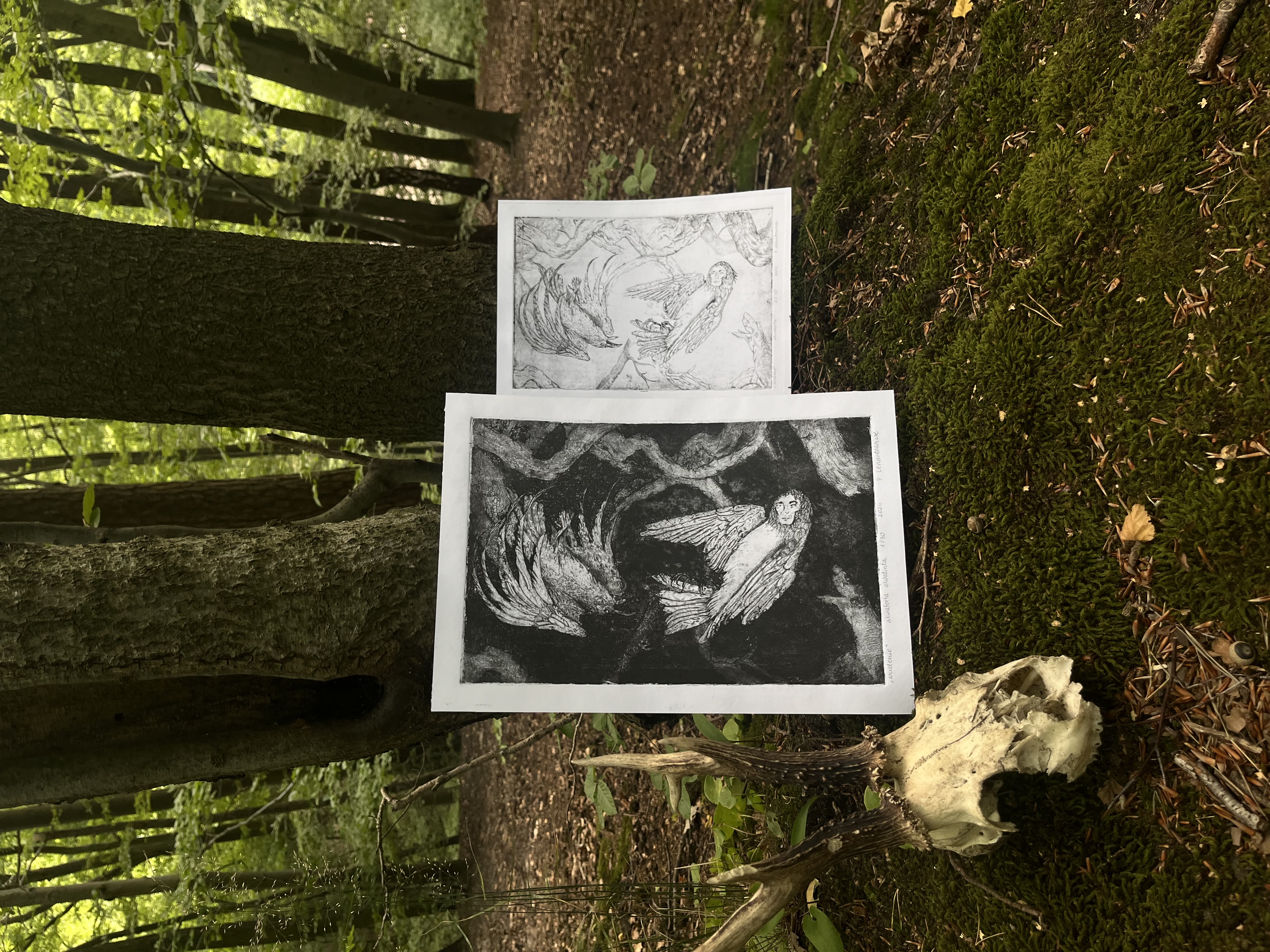 Portfolio item