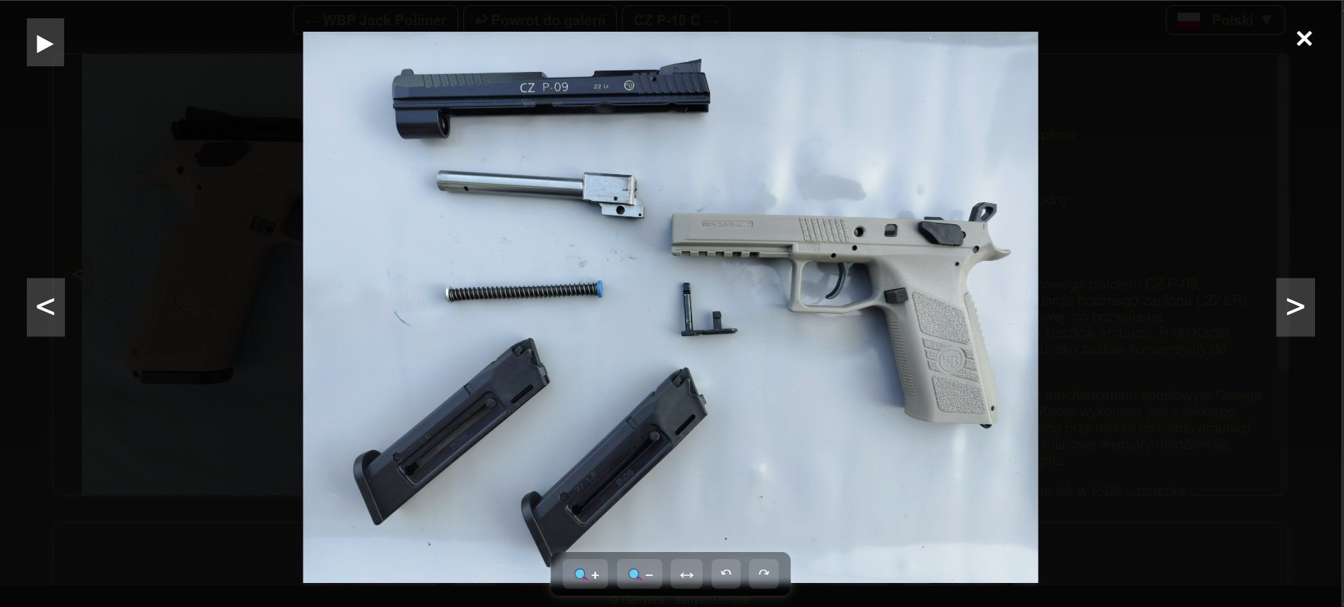 Portfolio item