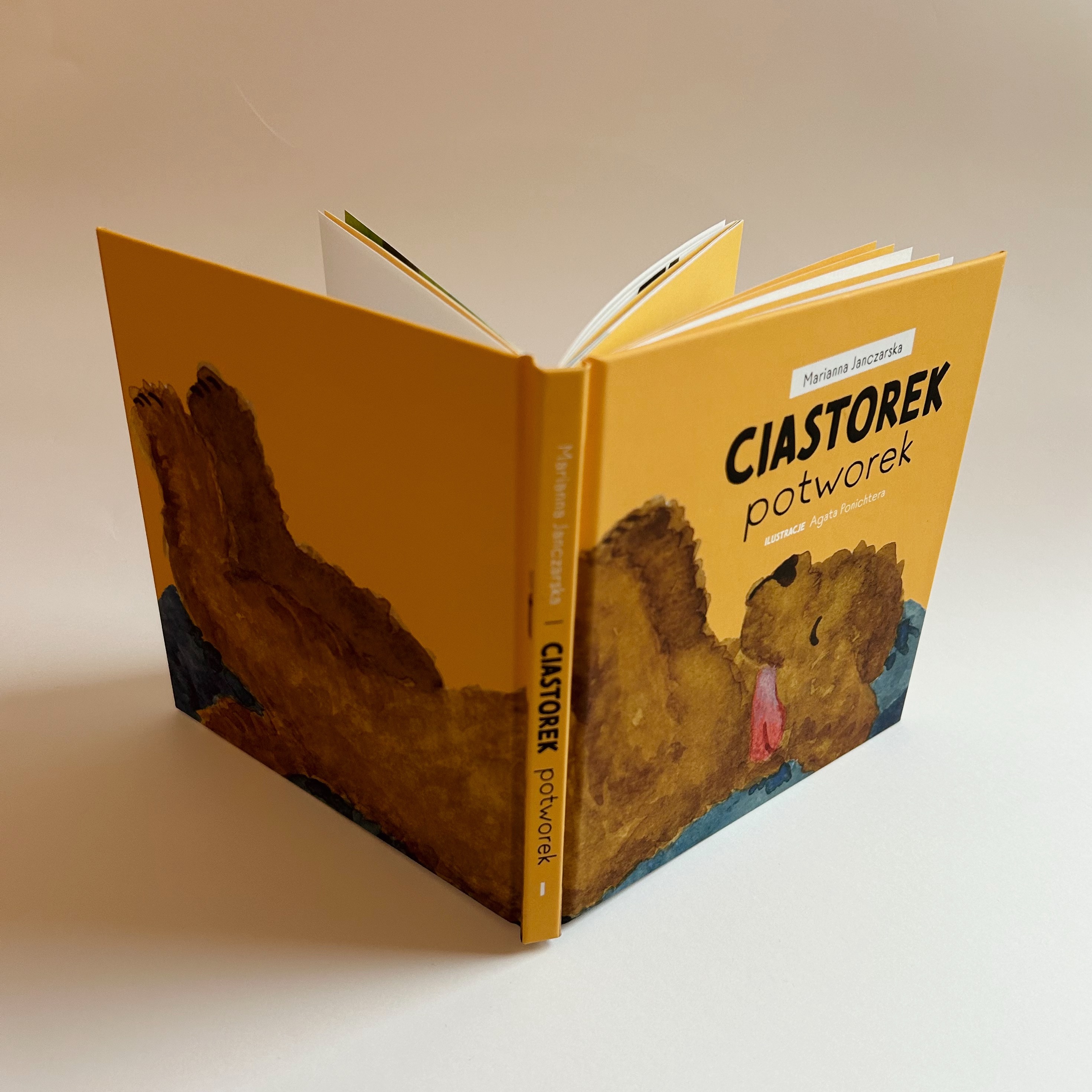 Portfolio item