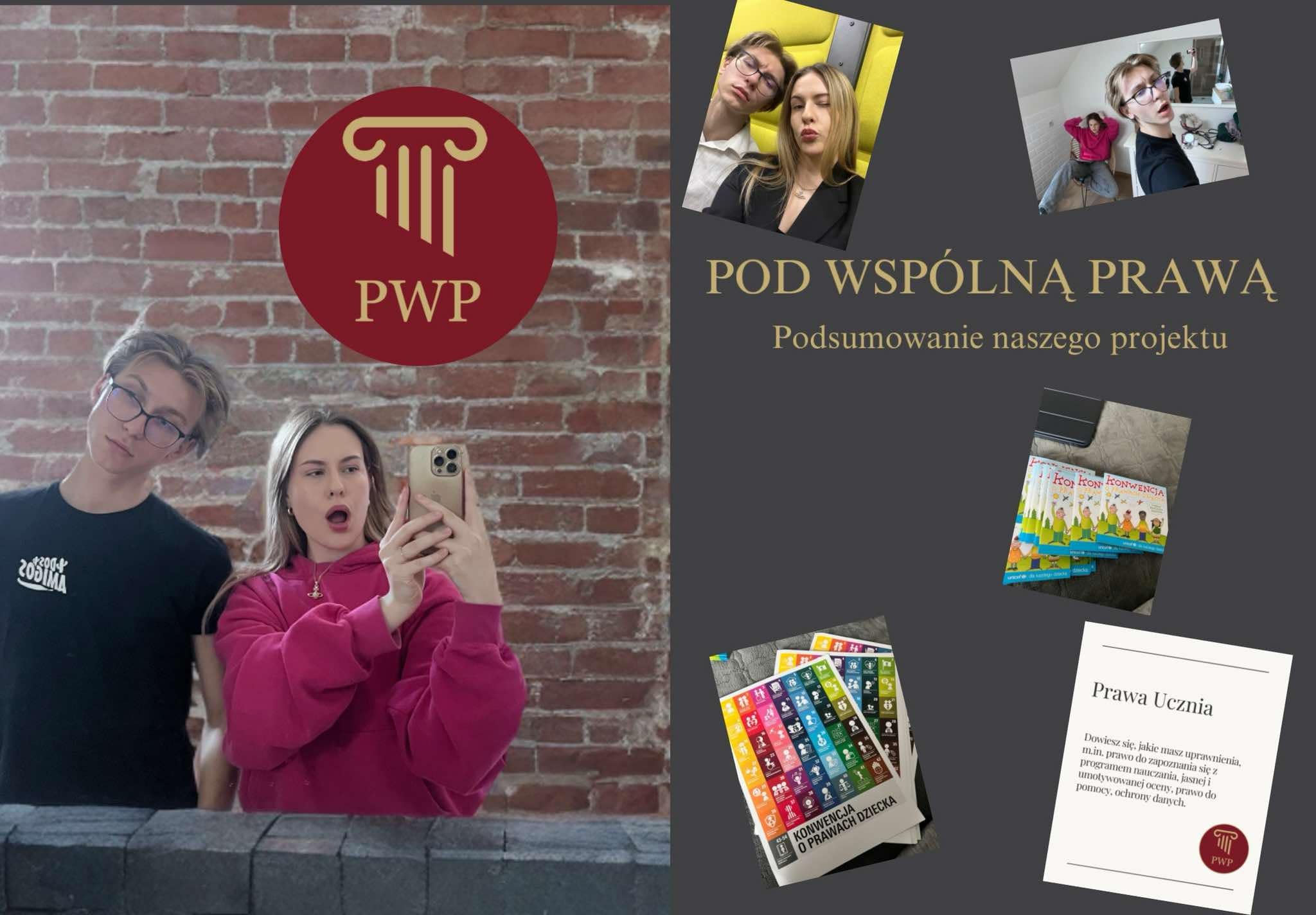 Portfolio item
