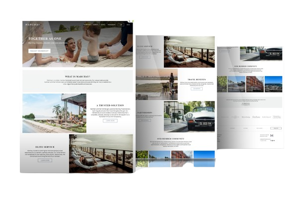 Portfolio item