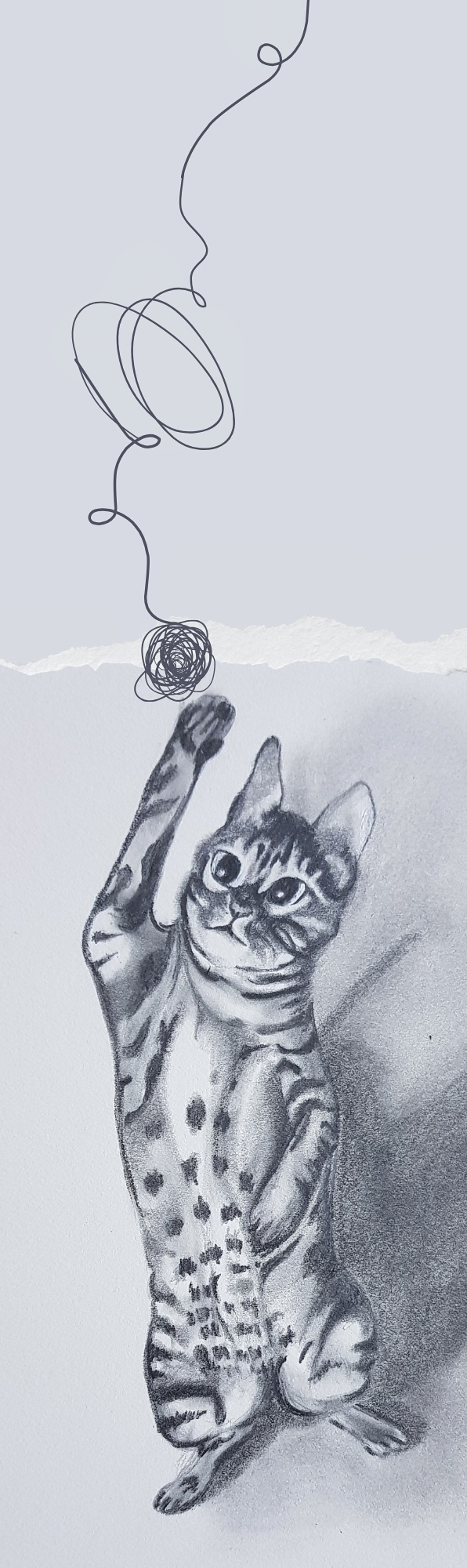 Portfolio item
