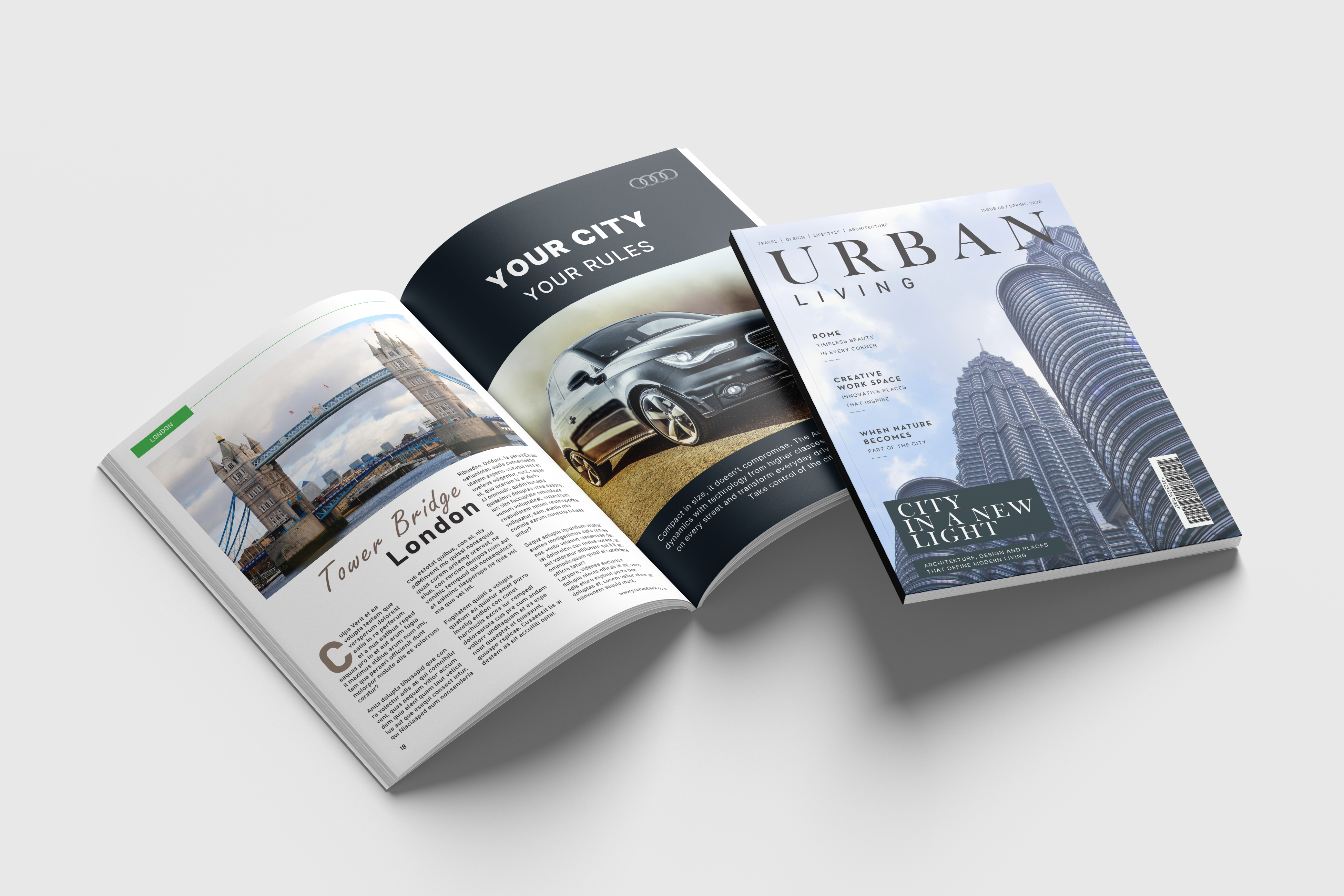 Portfolio item