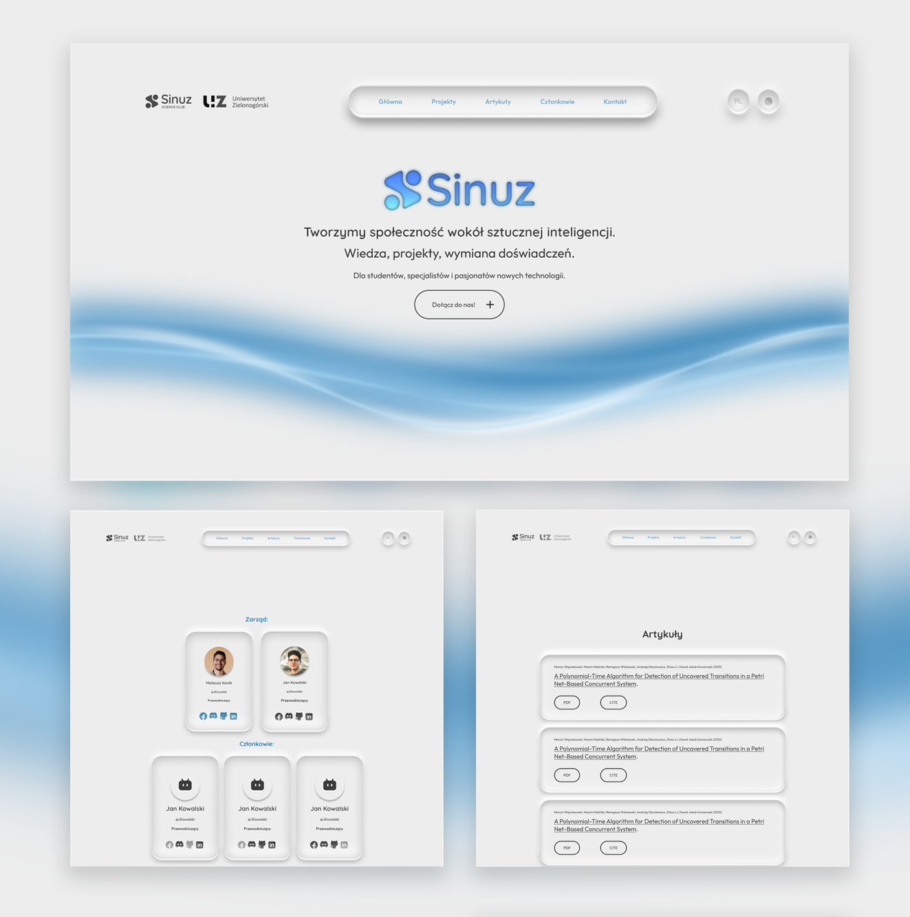 Portfolio item