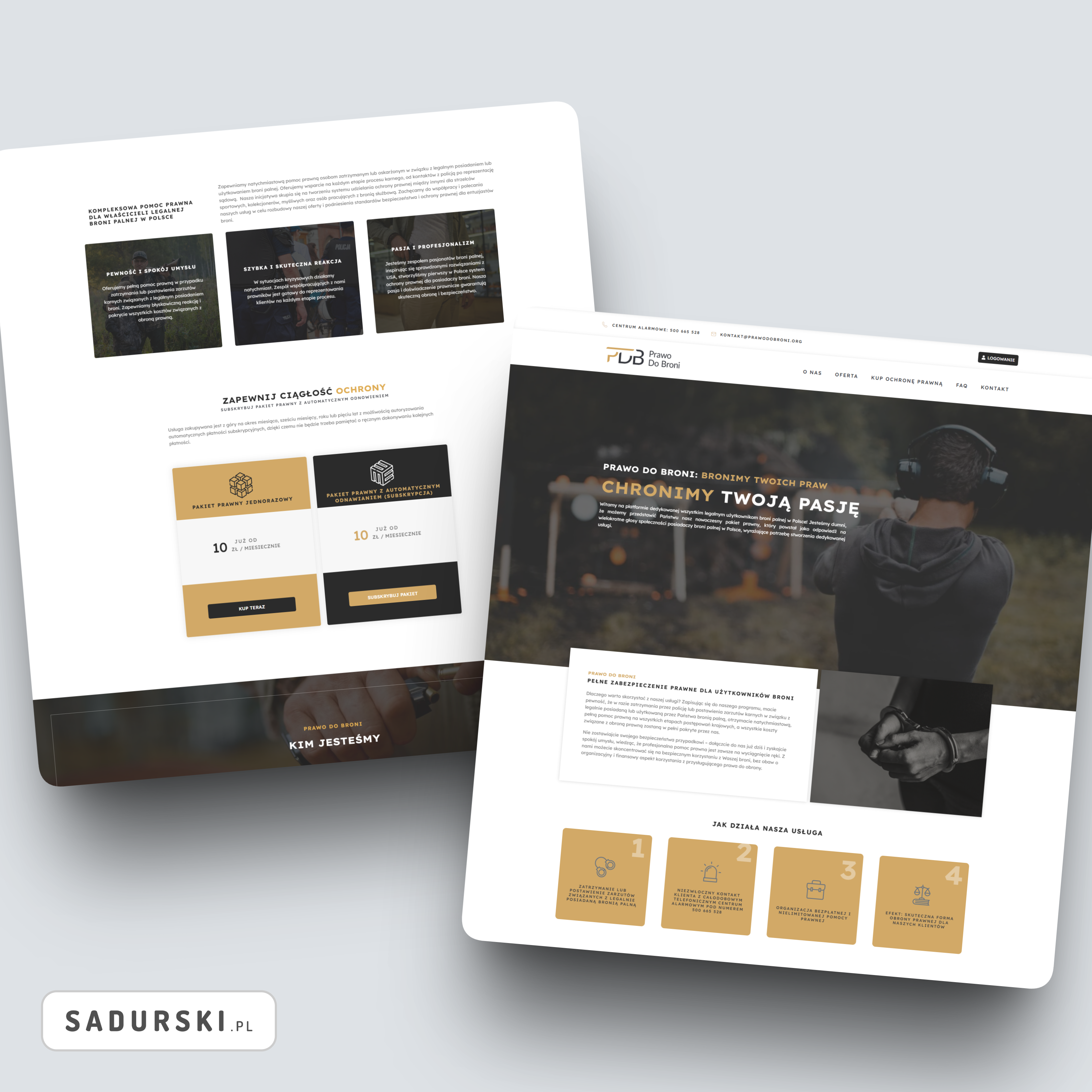 Portfolio item