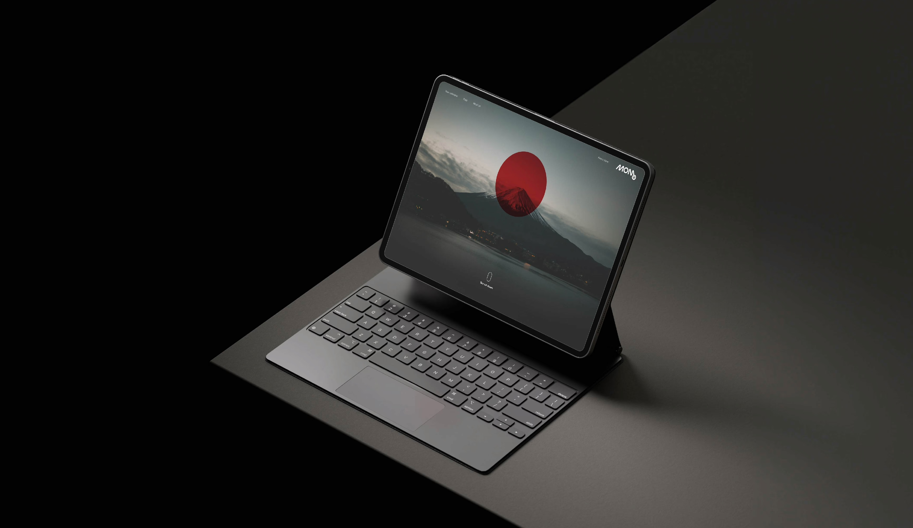 Portfolio item