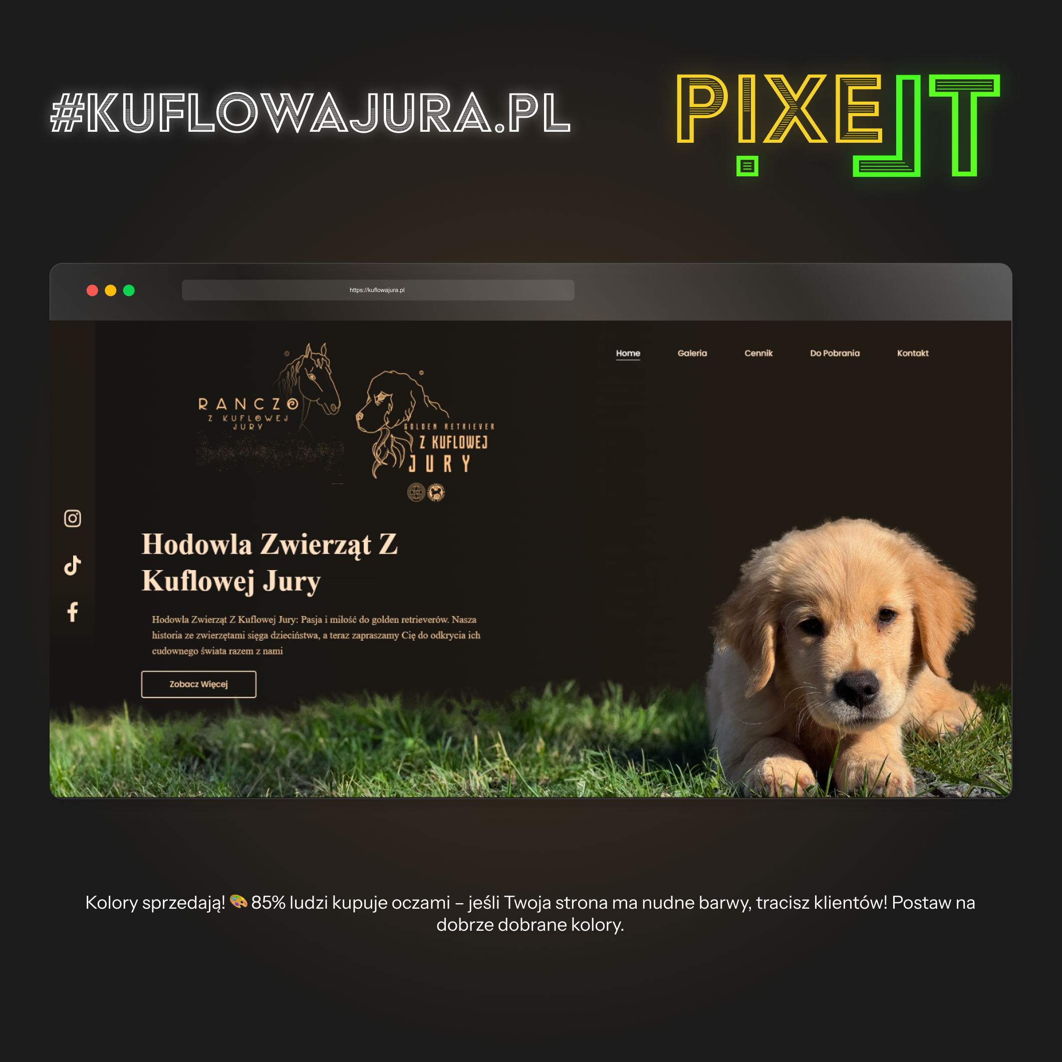 Portfolio item