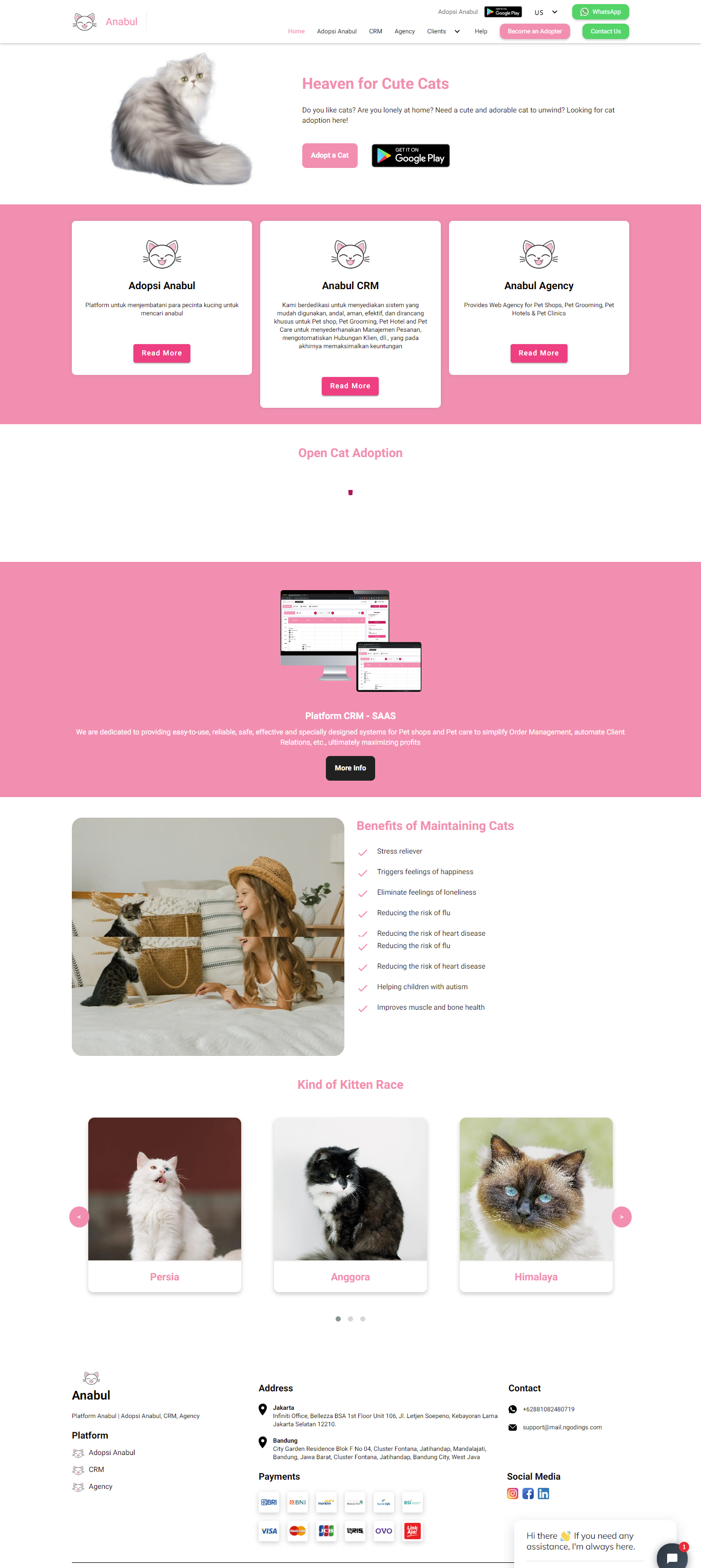 Portfolio item