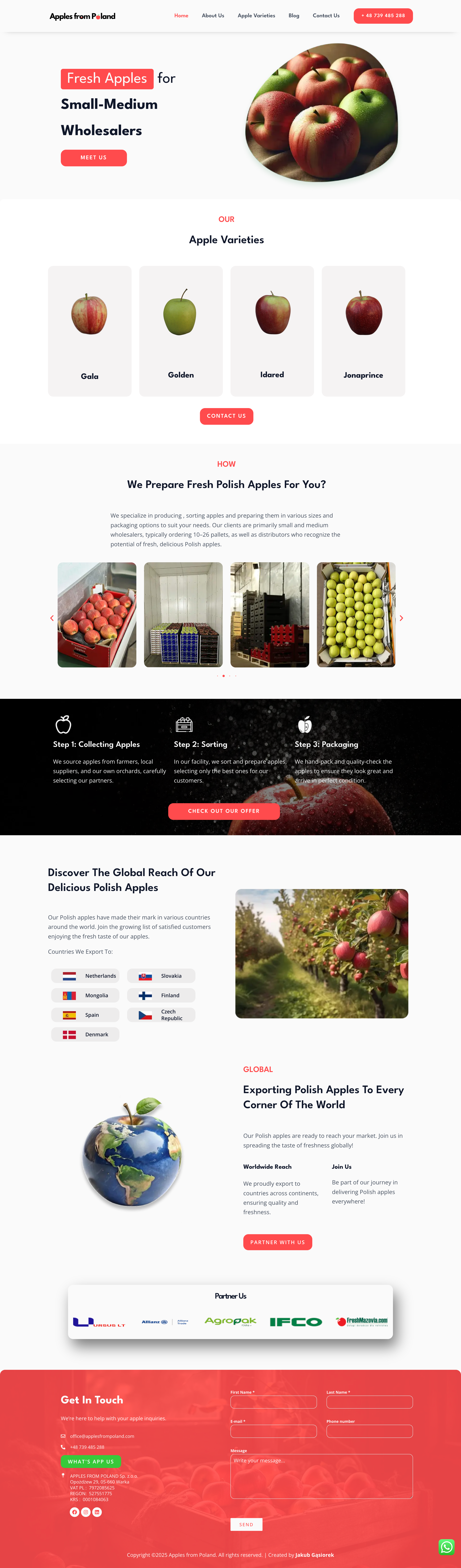 Portfolio item