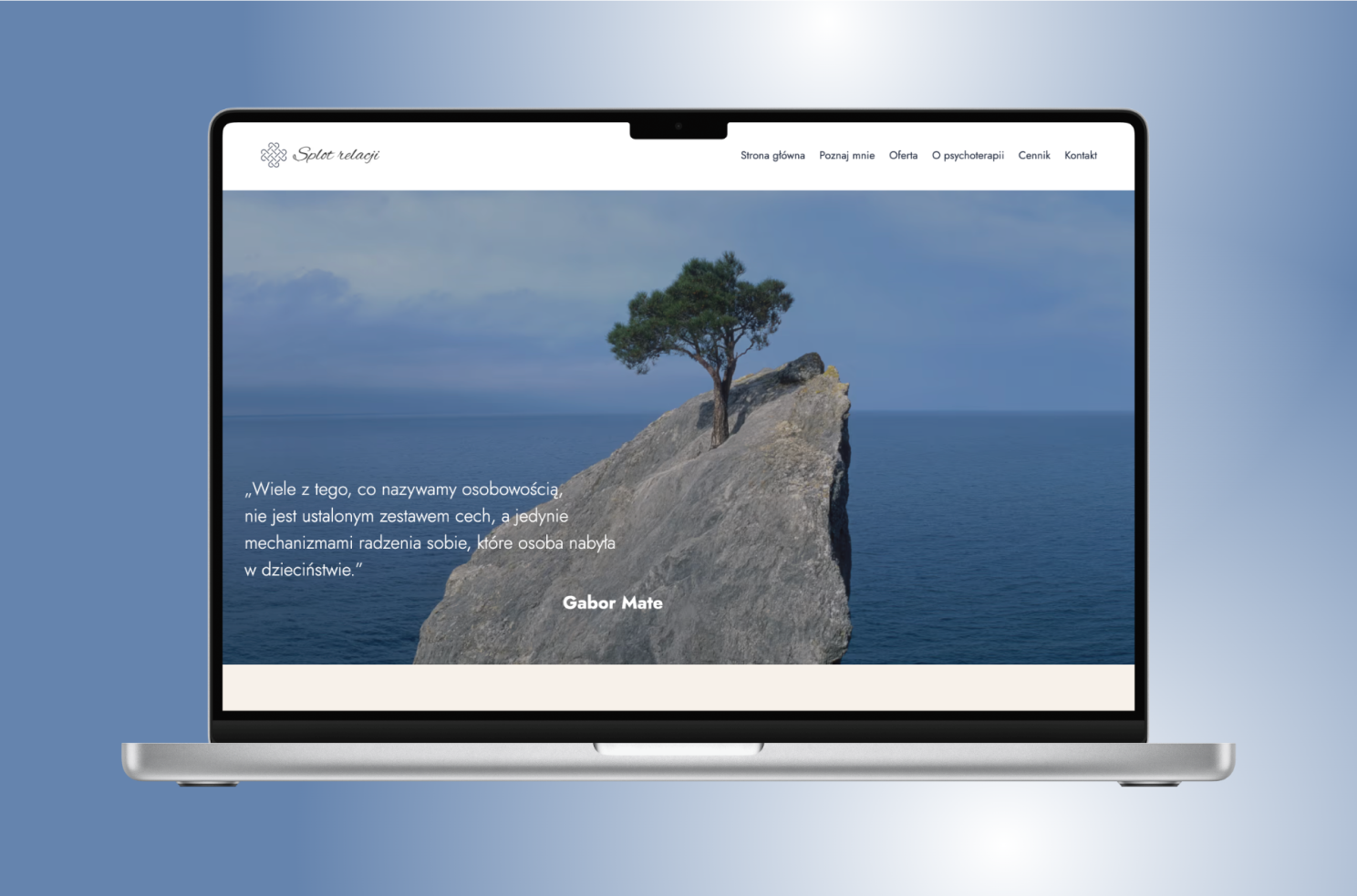 Portfolio item