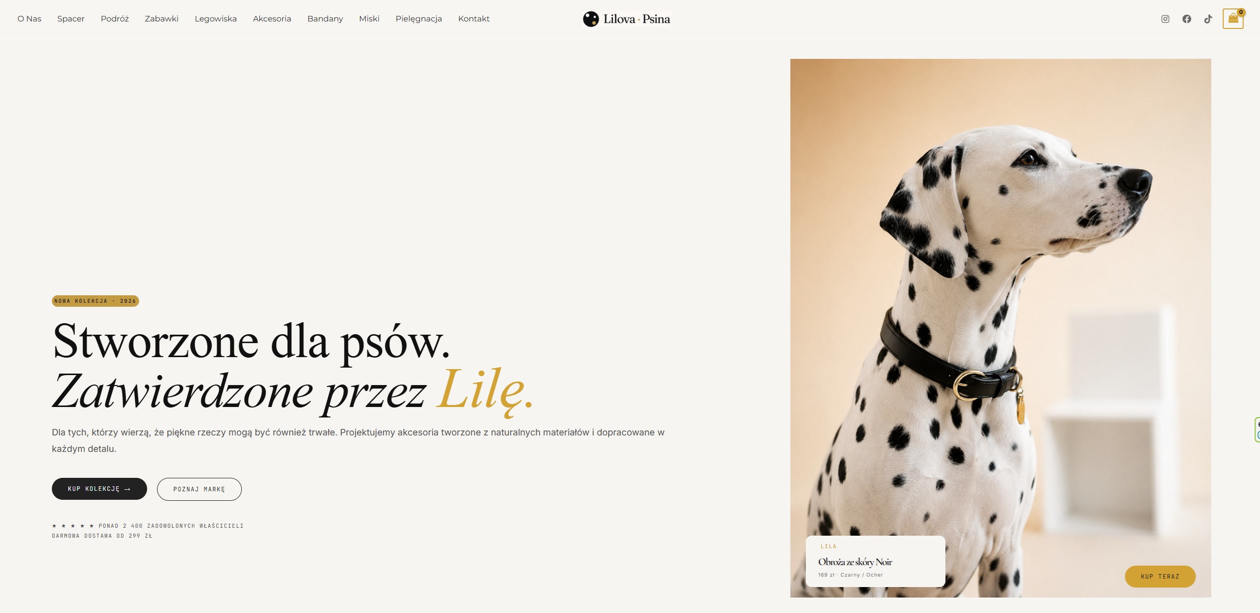 Portfolio item