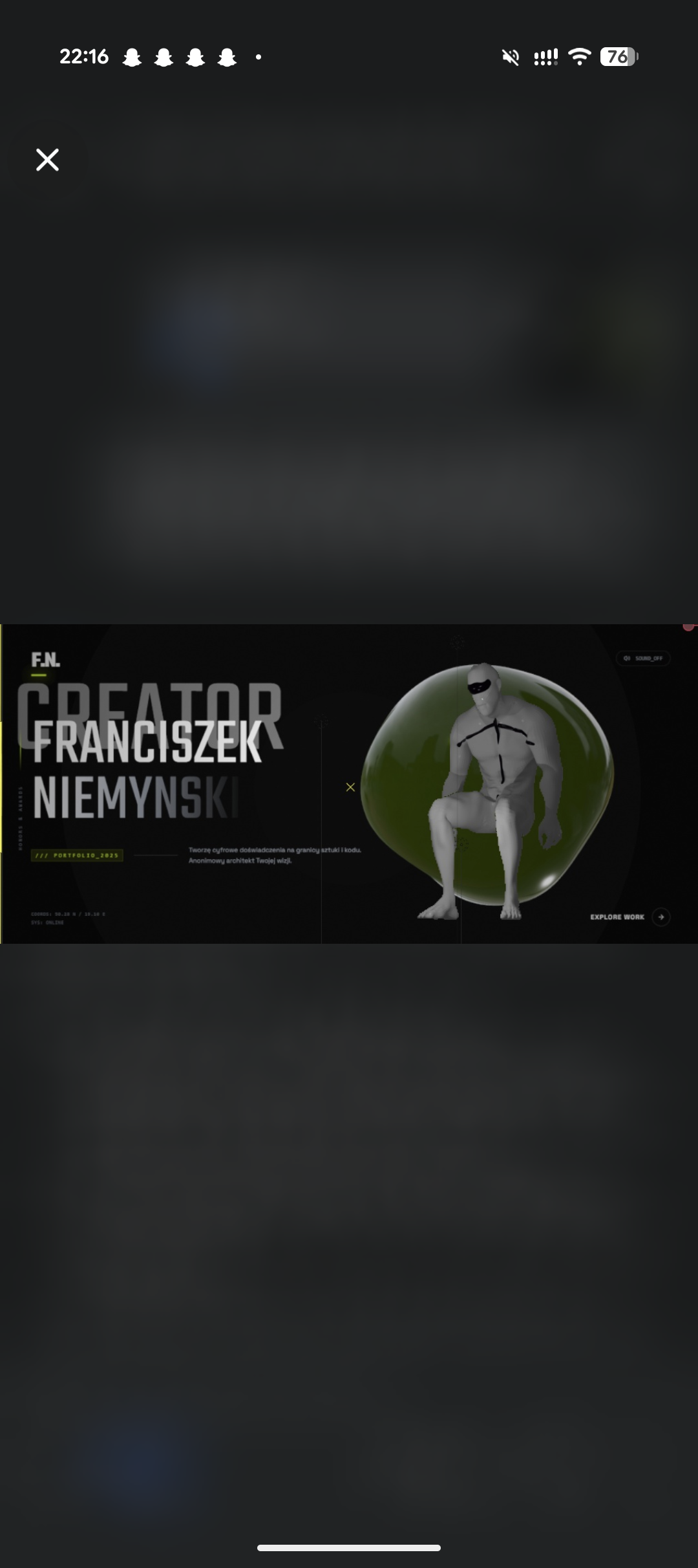 Portfolio item