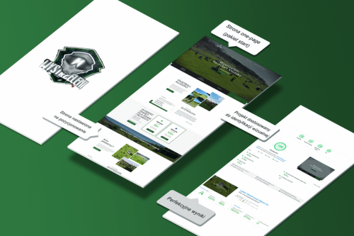 Portfolio item