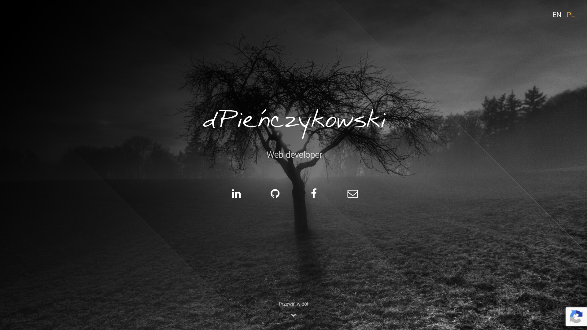 Portfolio item